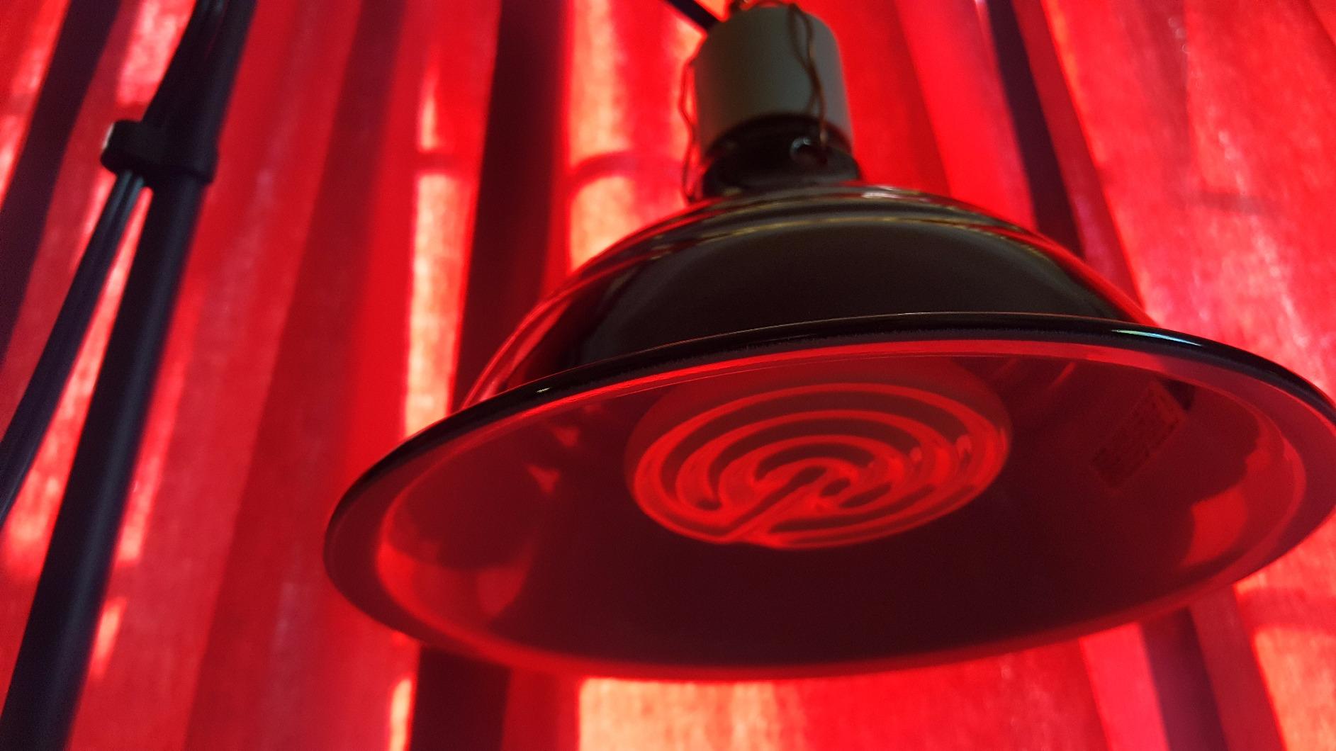 Fluker's Ceramic Heat Emitter, Natural Infrared Heating Bulb for Reptiles, 150 Watt customer photo 2