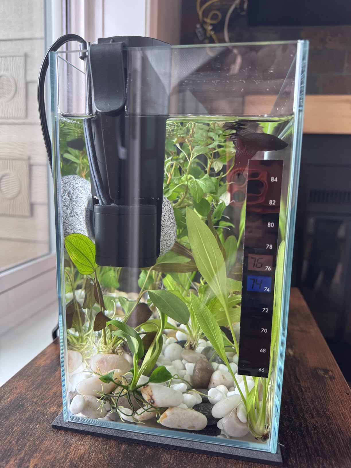 Tetra Whisper 170 GPH Internal Power Aquarium Filter | Whisper Quiet, 3-Stage Filtration, Space-Saving Internal Filter Clips on Tank, For Aquariums up to 40 Gallons customer photo 2