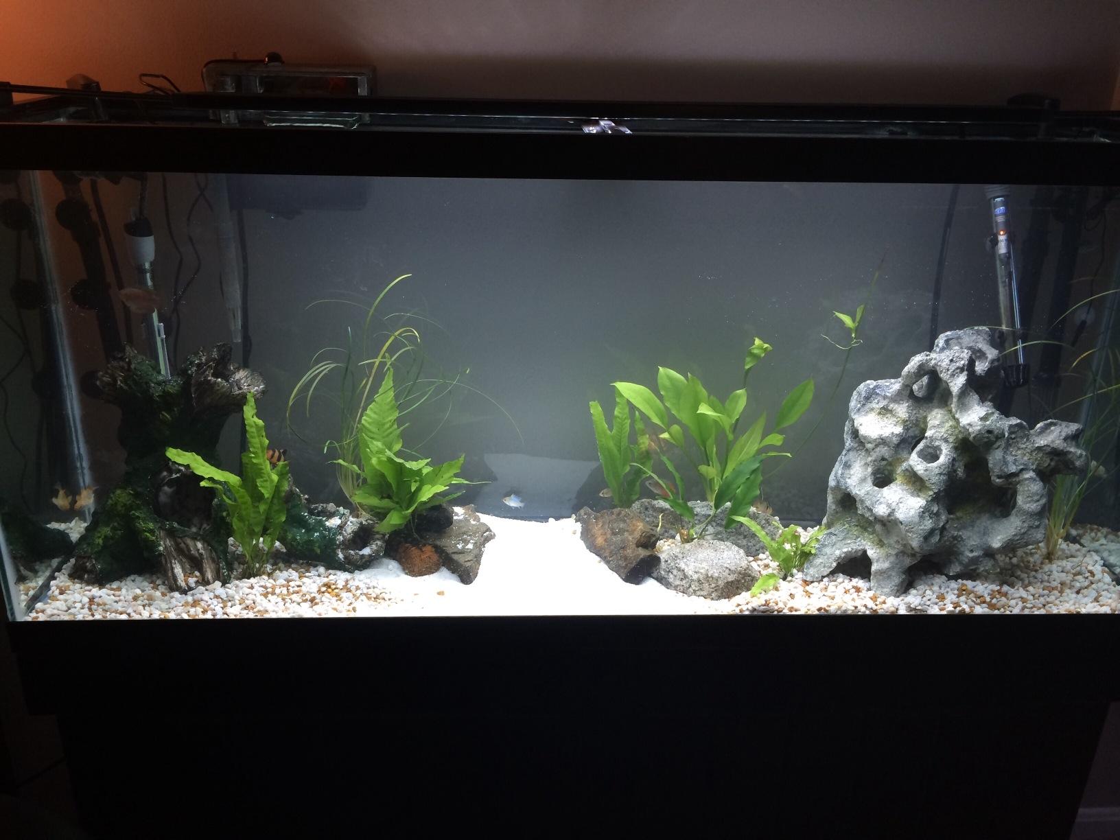 Penn-Plax Cascade 1200 Canister Filter - 315 GPH for Tanks Up to 150 Gallons customer photo 2