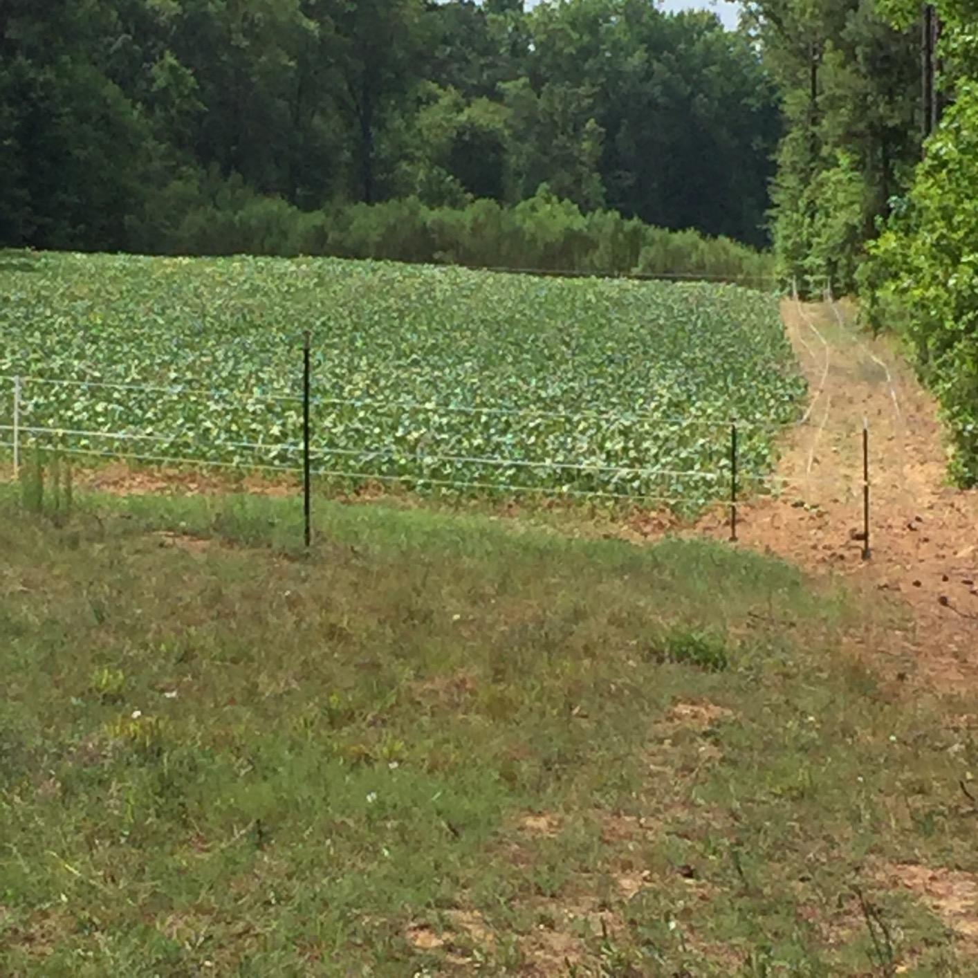 Parmak Magnum Solar-Pak 12 Low Impedance 12 Volt Battery Operated 30 Mile Range Electric Fence Charger MAG12-SP customer photo 2