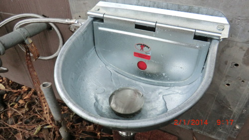 Little Giant Galvanized Steel Automatic Stock Waterer | Automatic Livestock Water for Cattle customer photo 2