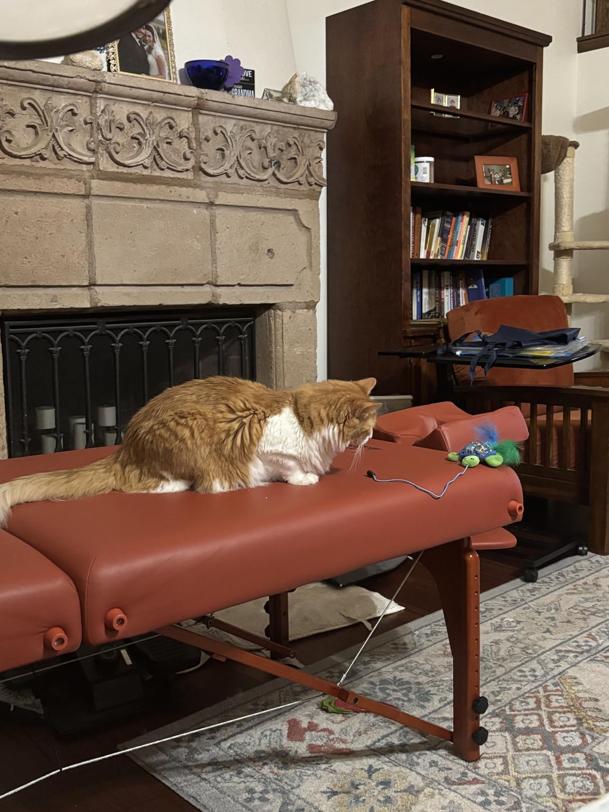 Master Massage 31