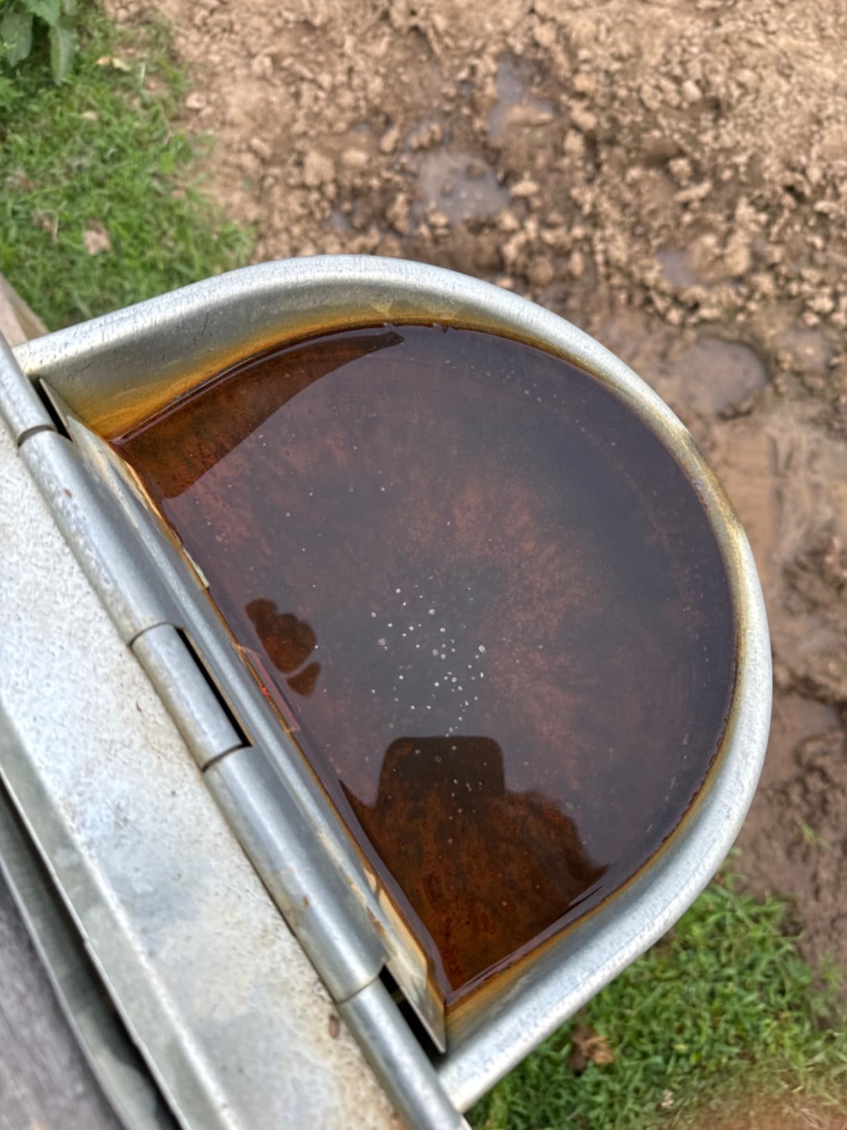 Little Giant Automatic Livestock Waterer | Epoxy Coated Automatic Stock Waterer for Horses, Cows and Hog | Auto Horse, Pig, and Cattle Drinker customer photo 2