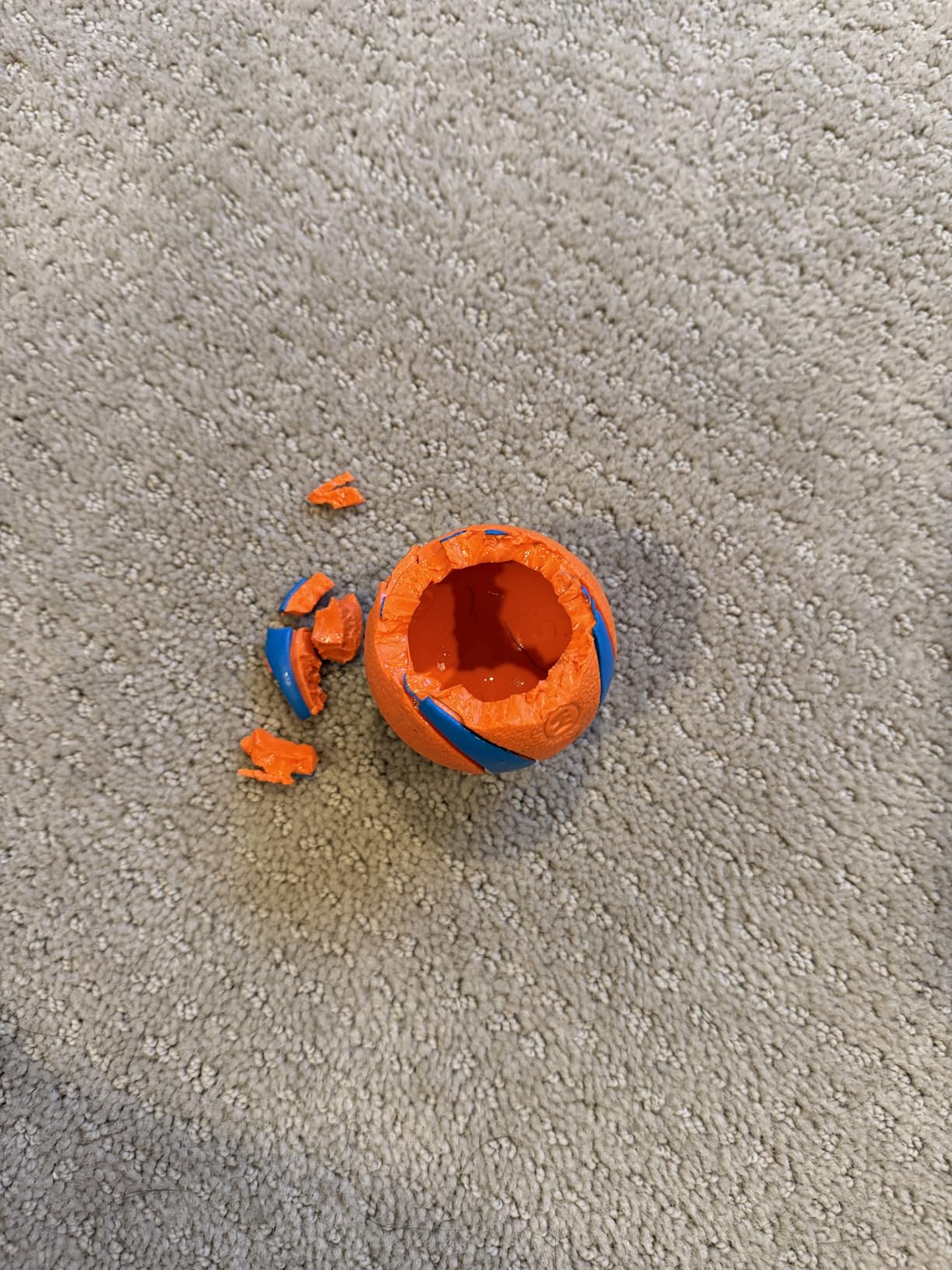 Chuckit! Ultra Ball Dog Toy, Durable Rubber, Medium 2.5-in, 2 Pack customer photo 2