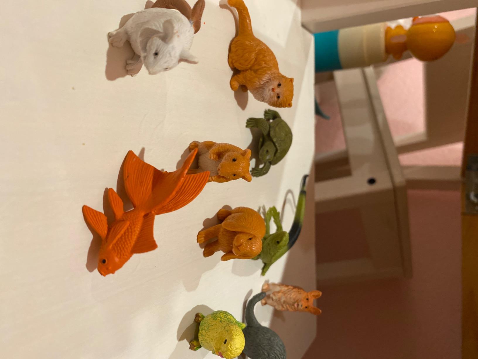 Safari Ltd. Pets TOOB - 12 Figurines of Household Pets - Educational Toy Figures for Boys, Girls and Kids Ages 3+ customer photo 2