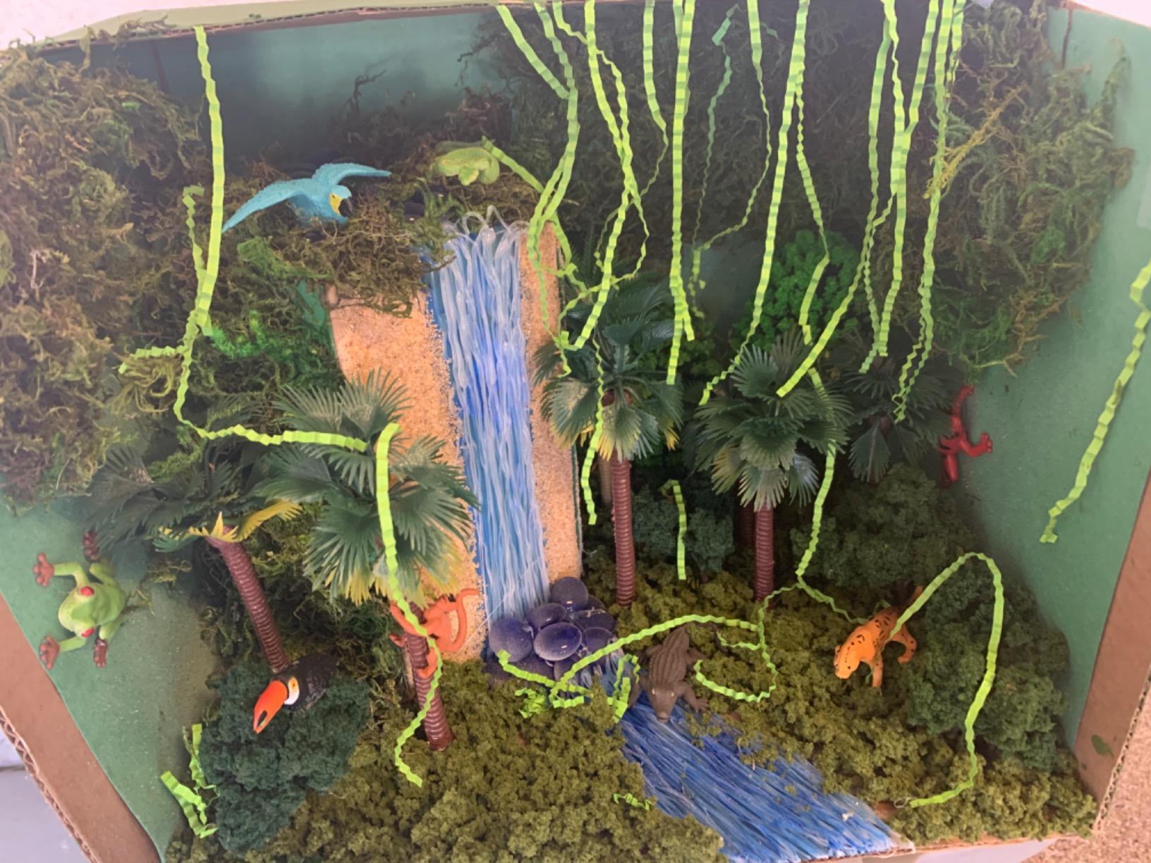 Safari Ltd. Rainforest TOOB - 11 Figurines: Macaw, Frogs, Toucan, Iguana, Monkey, and More - Educational Toy Figures For Boys, Girls, and Kids Ages 3+ customer photo 1