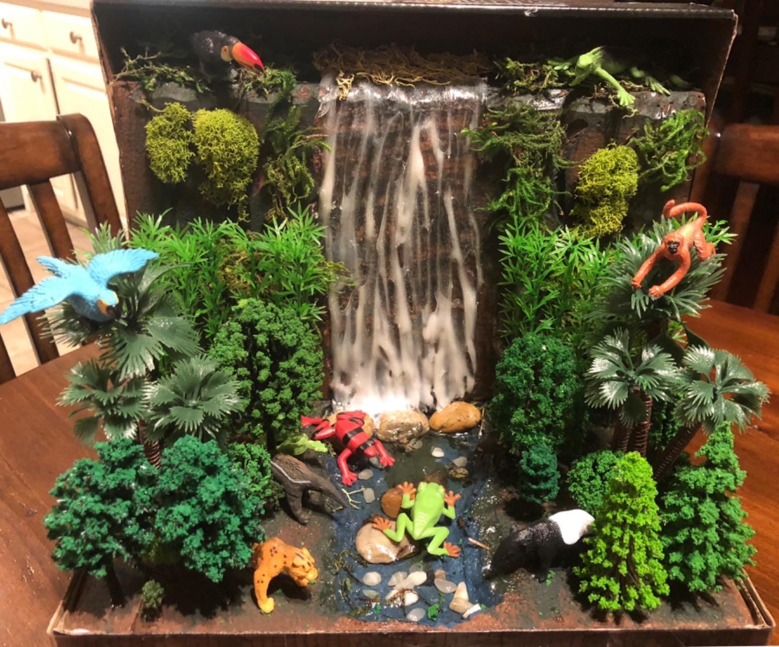 Safari Ltd. Rainforest TOOB - 11 Figurines: Macaw, Frogs, Toucan, Iguana, Monkey, and More - Educational Toy Figures For Boys, Girls, and Kids Ages 3+ customer photo 2