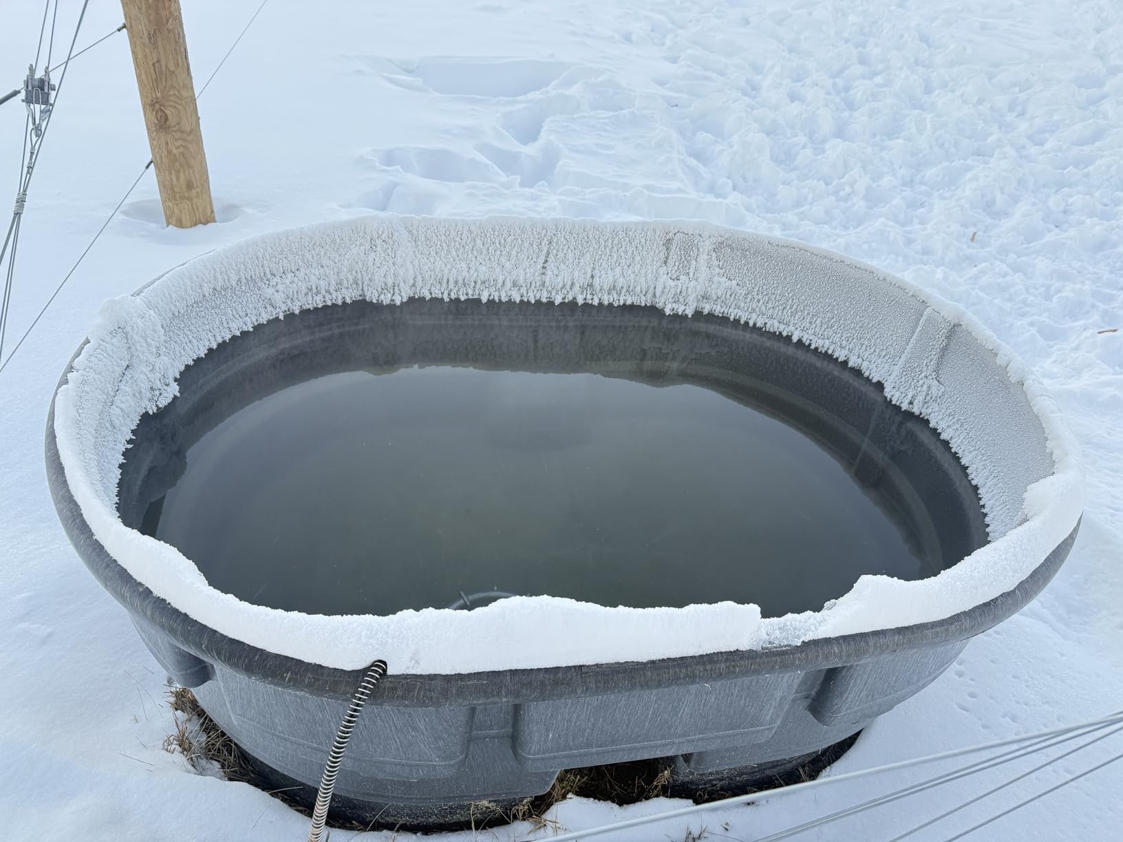 Farm Innovators Ice Chaser Cast Aluminum Submergible Tank De-Icer with Heavy Duty and Anti Chew Cord Protector | Thermostatically controlled heater for livestock customer photo 1