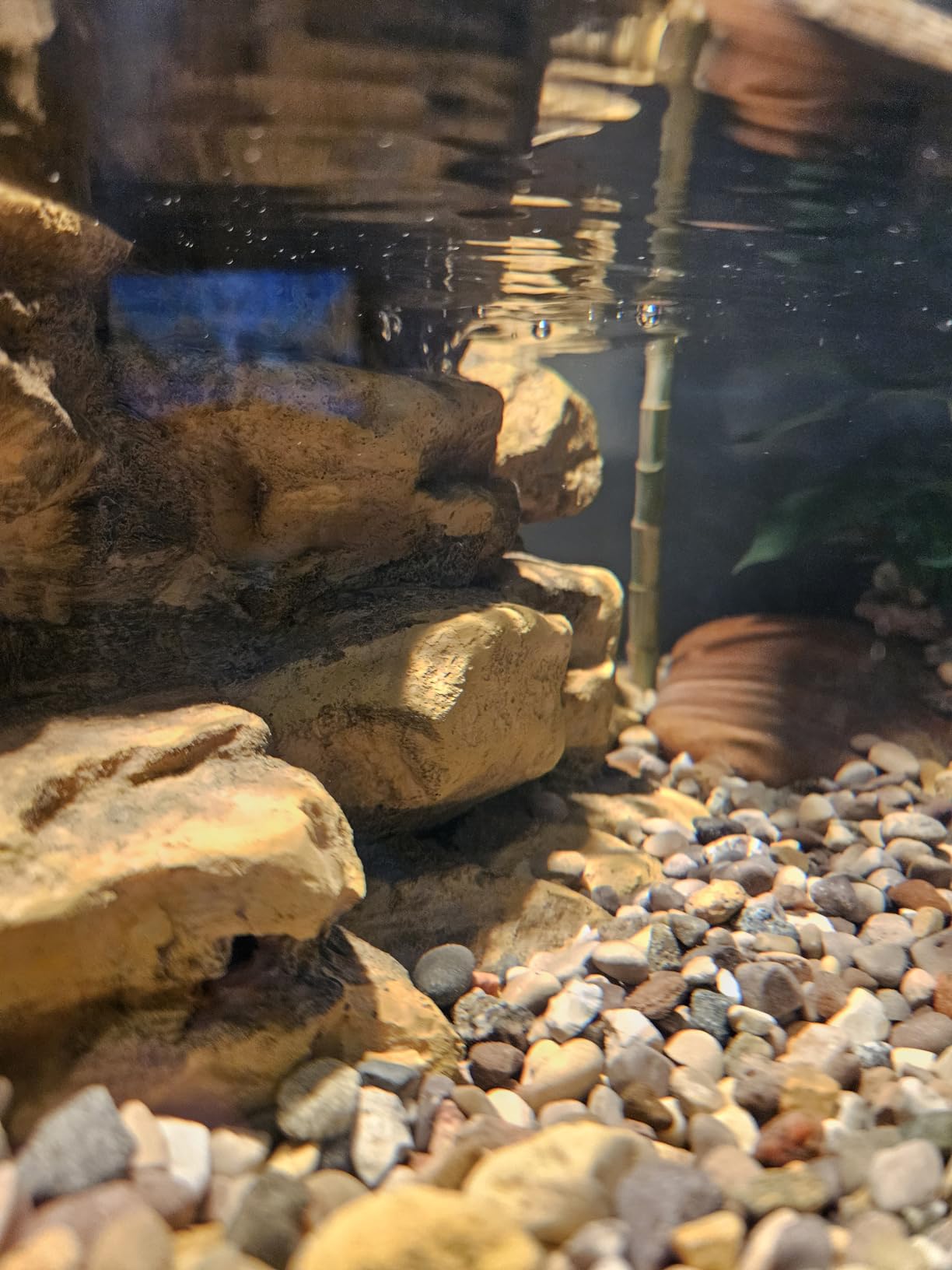 Tetra Decorative ReptoFilter Terrarium Filter For Frogs, Newts & Turtles | Filter & Waterfall Keep Water Clear & Remove Odor in Terrariums, Lid Also Acts As Basking Platform, Easy to Set Up & Clean customer photo 1