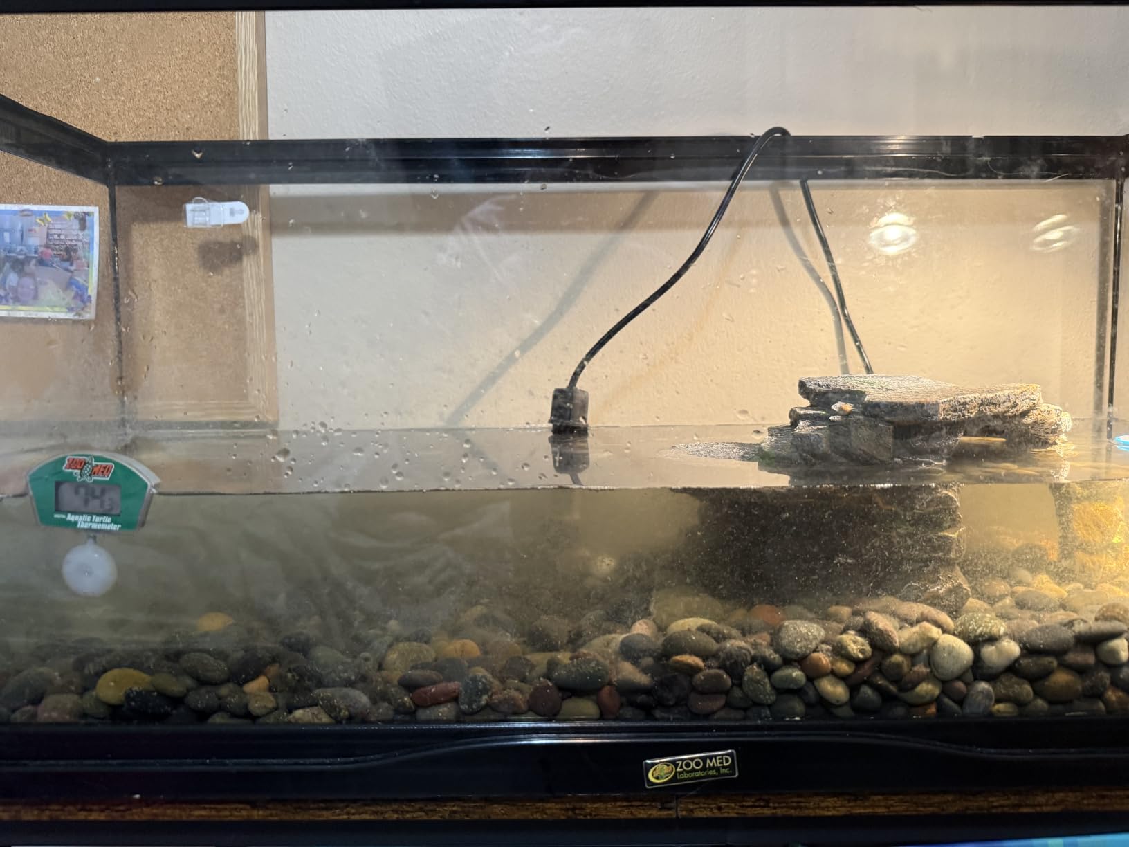 Tetra Decorative ReptoFilter Terrarium Filter For Frogs, Newts & Turtles | Filter & Waterfall Keep Water Clear & Remove Odor in Terrariums, Lid Also Acts As Basking Platform, Easy to Set Up & Clean customer photo 2