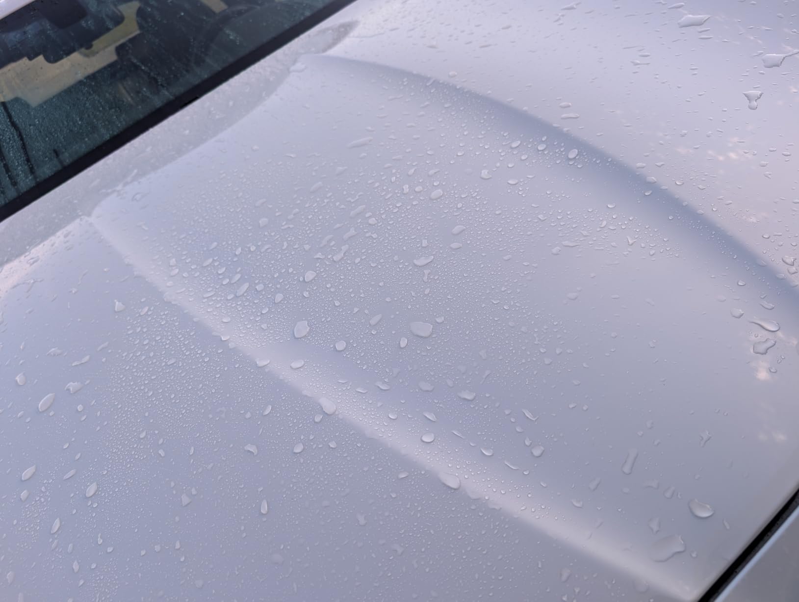 Collinite 845 Insulator Wax-Easy to Use Carnauba+Polymer Wax Sealant-High Gloss Shine+Durable Hydrophobic Beading & Long Lasting Paint Protection for Cars/Boats/Trucks/RVs & Motorcycles (16 fl oz) customer photo 1