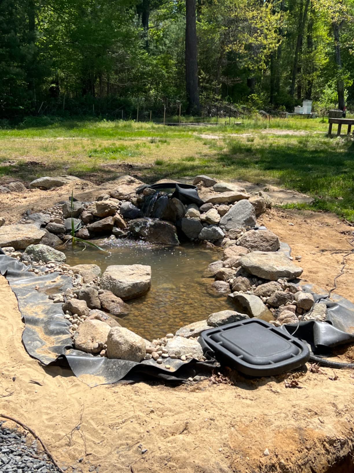 Aquascape DIY Backyard Pond Kit 8 x 11 feet - Complete Water Garden Ecosystem with Pump, Skimmer, and Filter, 99765 customer photo 1
