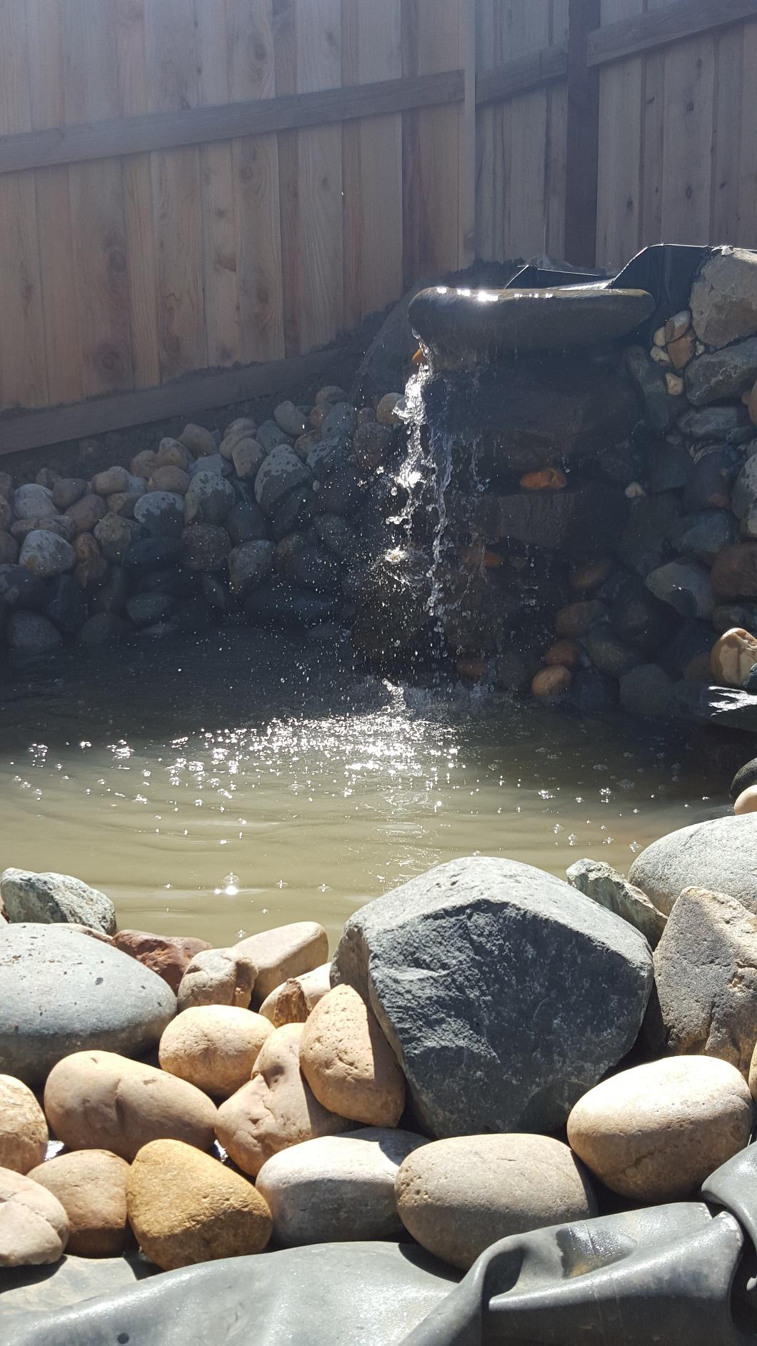Aquascape DIY Backyard Pond Kit 8 x 11 feet - Complete Water Garden Ecosystem with Pump, Skimmer, and Filter, 99765 customer photo 2
