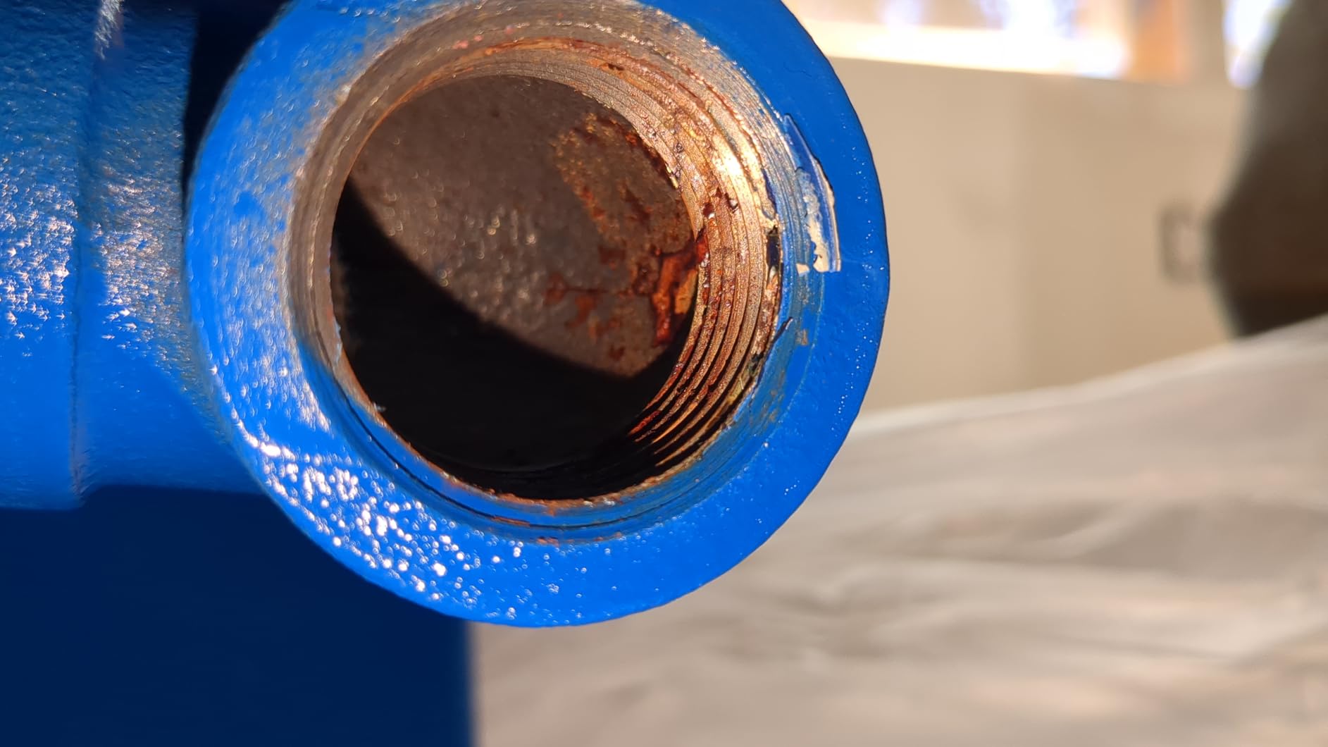 WaterWorker HT-30B Vertical Pressure Well Tank, 30-gallon tank with 26-gallon capacity, Blue customer photo 1
