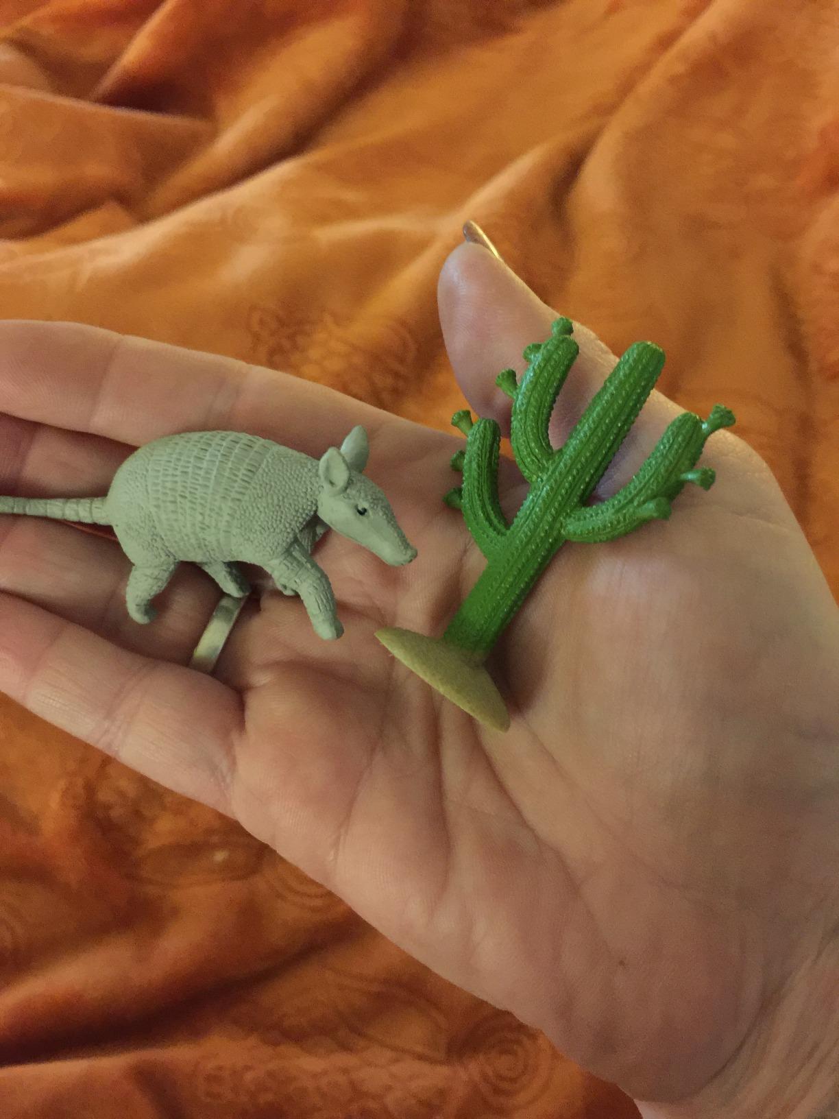 Safari Ltd. Desert TOOB - Figurines of Horned Lizard, Cactus, Road Runner, Scorpion, Rattlesnake, Coyote, Bobcat, Armadillo, Mountain Lion - Educational Toy Figures For Boys, Girls & Kids Ages 3+ customer photo 1