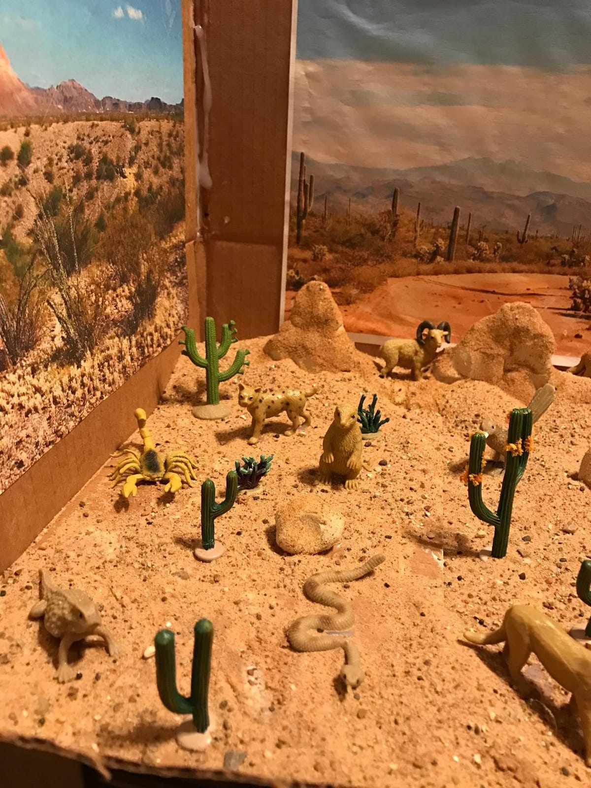 Safari Ltd. Desert TOOB - Figurines of Horned Lizard, Cactus, Road Runner, Scorpion, Rattlesnake, Coyote, Bobcat, Armadillo, Mountain Lion - Educational Toy Figures For Boys, Girls & Kids Ages 3+ customer photo 2