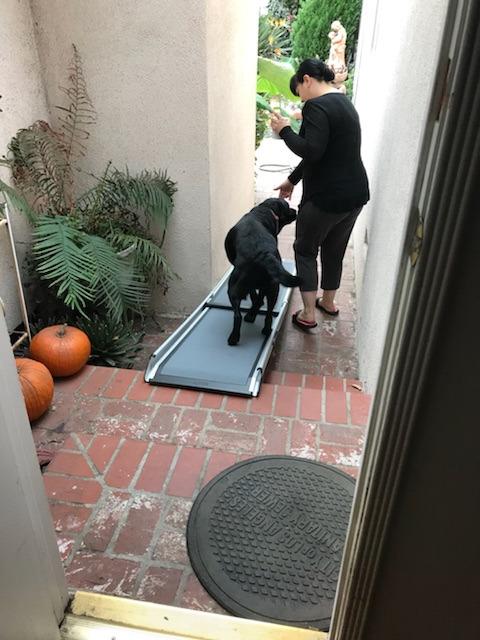 Solvit 62337 Deluxe Telescoping Pet Ramp | Extends 39-72 in to Reach Vans & SUVs, High-Traction Surface, Side Rails, Folds with Safety Latch, Supports Dogs up to 400 Lb customer photo 1