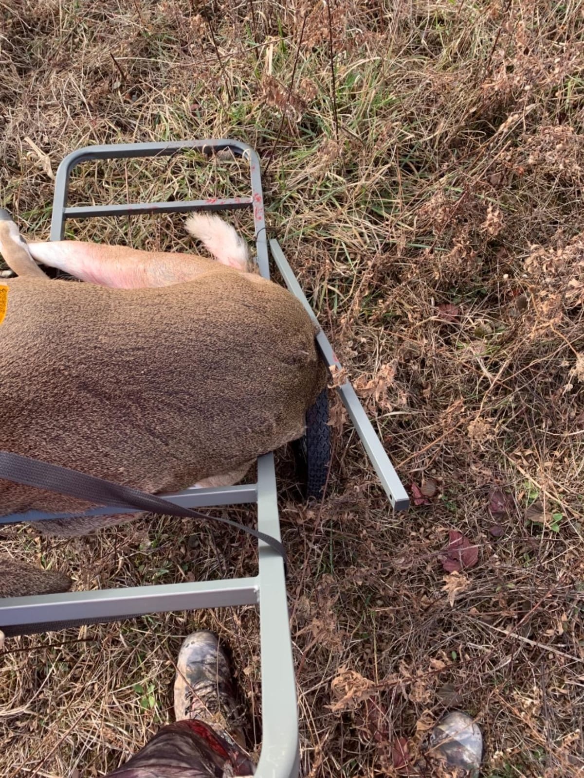 Guide Gear Deluxe Deer Cart, Game Hauler Hunting Gear Accessories, with Big Wheels customer photo 2