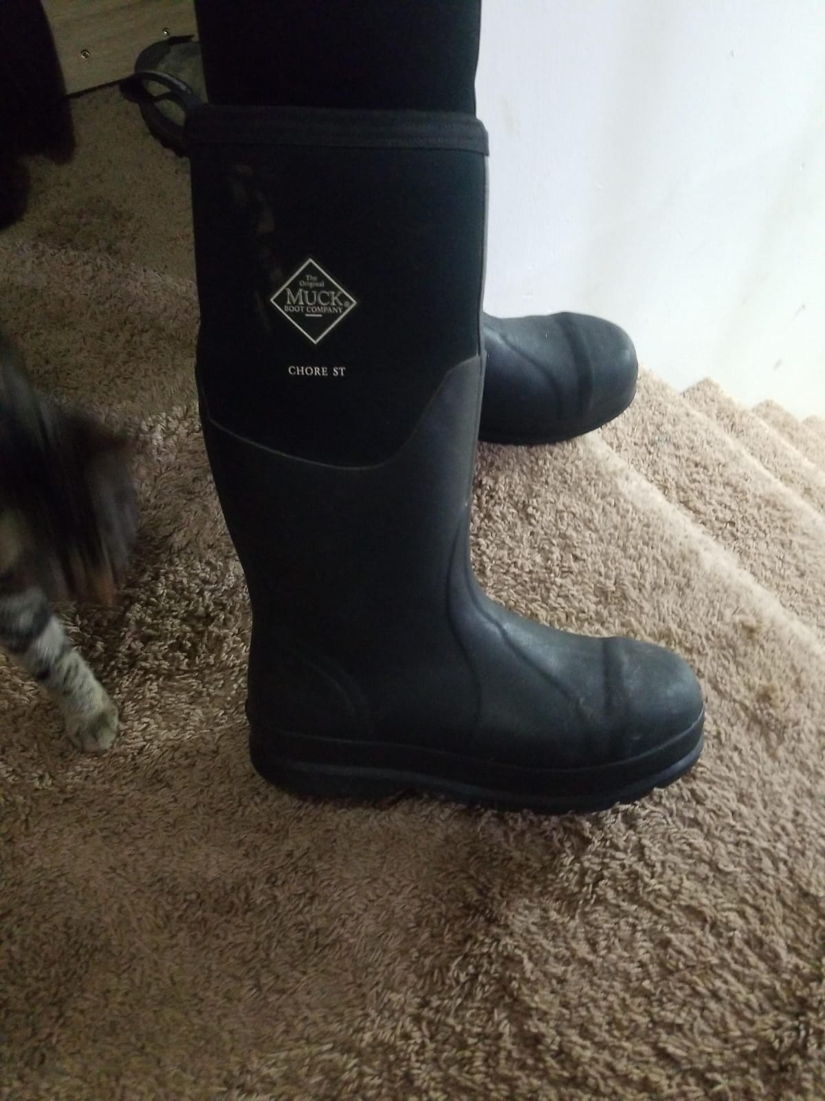 MUCK Chore Classic Men's Steel Toe Boot customer photo 2
