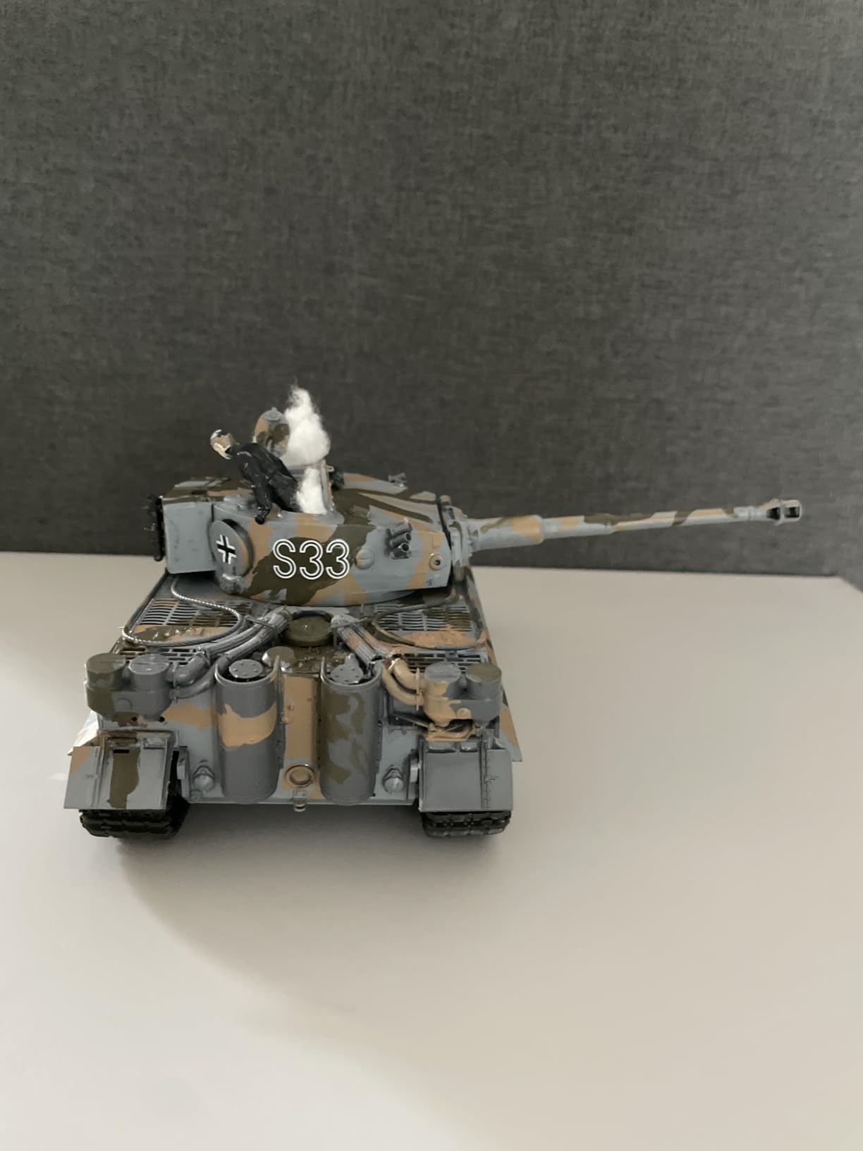 Tamiya 35216 1/35 Ger. Tiger I Early Production Tank Plastic Model Kit customer photo 1