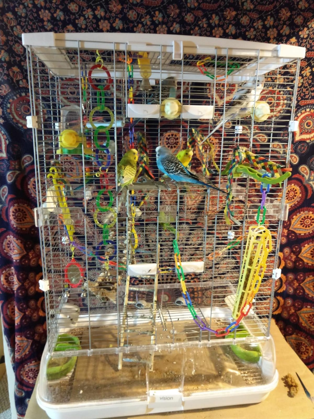 Vision M02 Wire Bird Cage, Bird Home for Parakeets, Finches and Canaries | Tall Medium customer photo 2