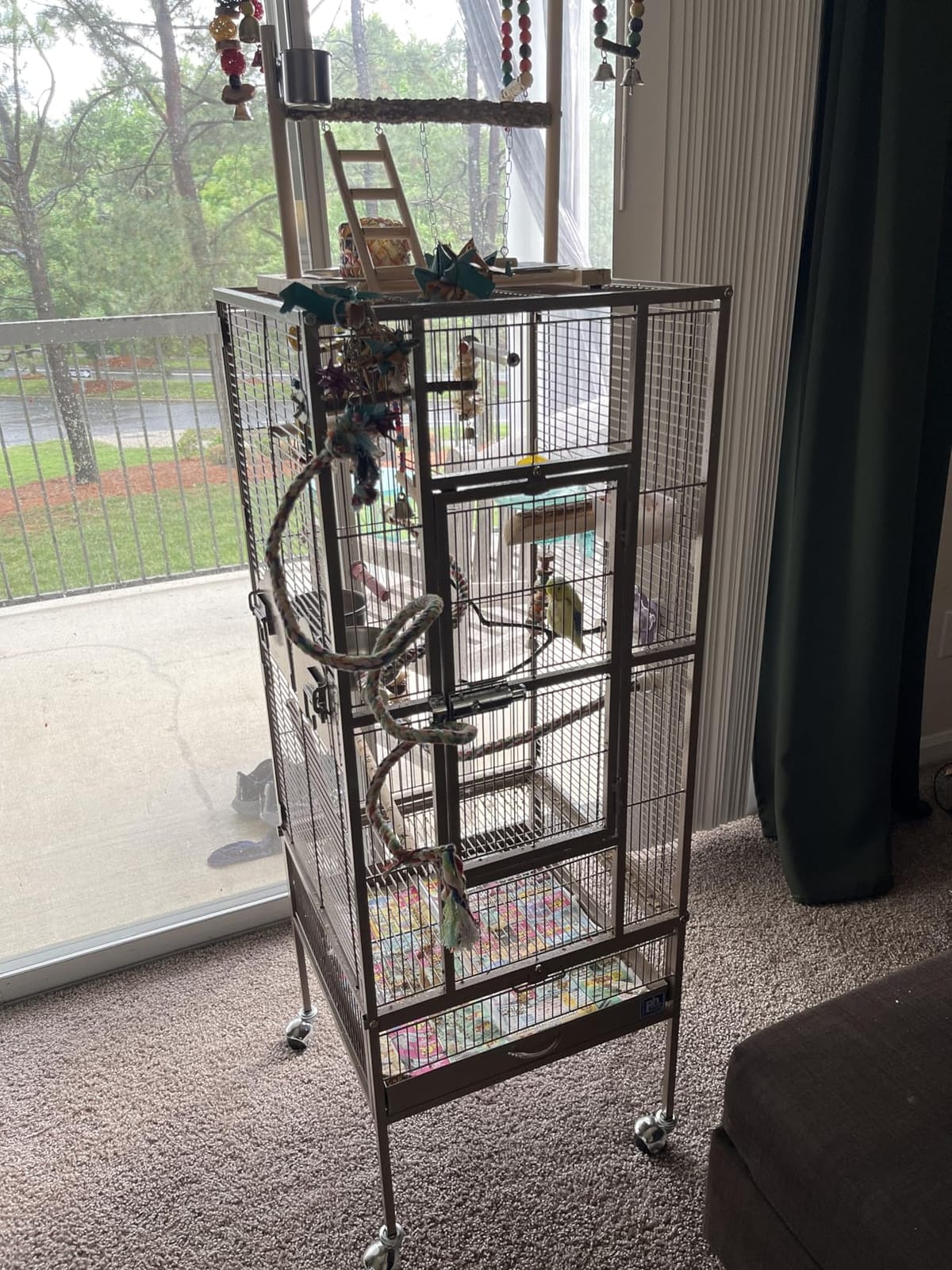 Prevue Pet Products Wrought Iron Flight Cage with Stand, Large Birdcage for Pets, Metal Cage Standing Birdcage, Black Hammertone Finish customer photo 1
