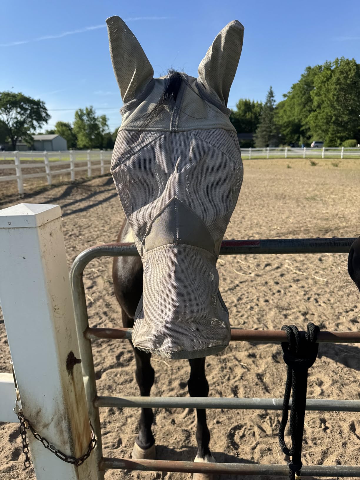 Cashel Crusader Fly Mask, Long Nose with Ears (Grey, Horse) customer photo 1