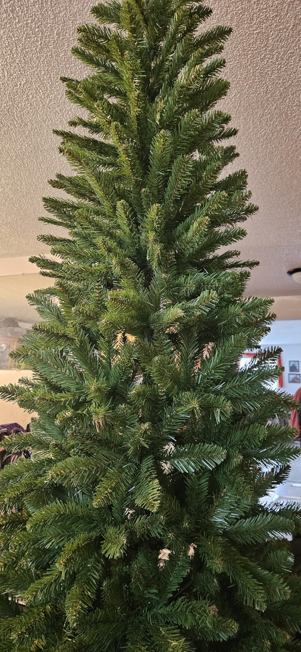 National Tree Company 7 ft Unlit Kingswood Fir Slim Artificial Christmas Tree, 892 Tips, Includes Stand, Green customer photo 1
