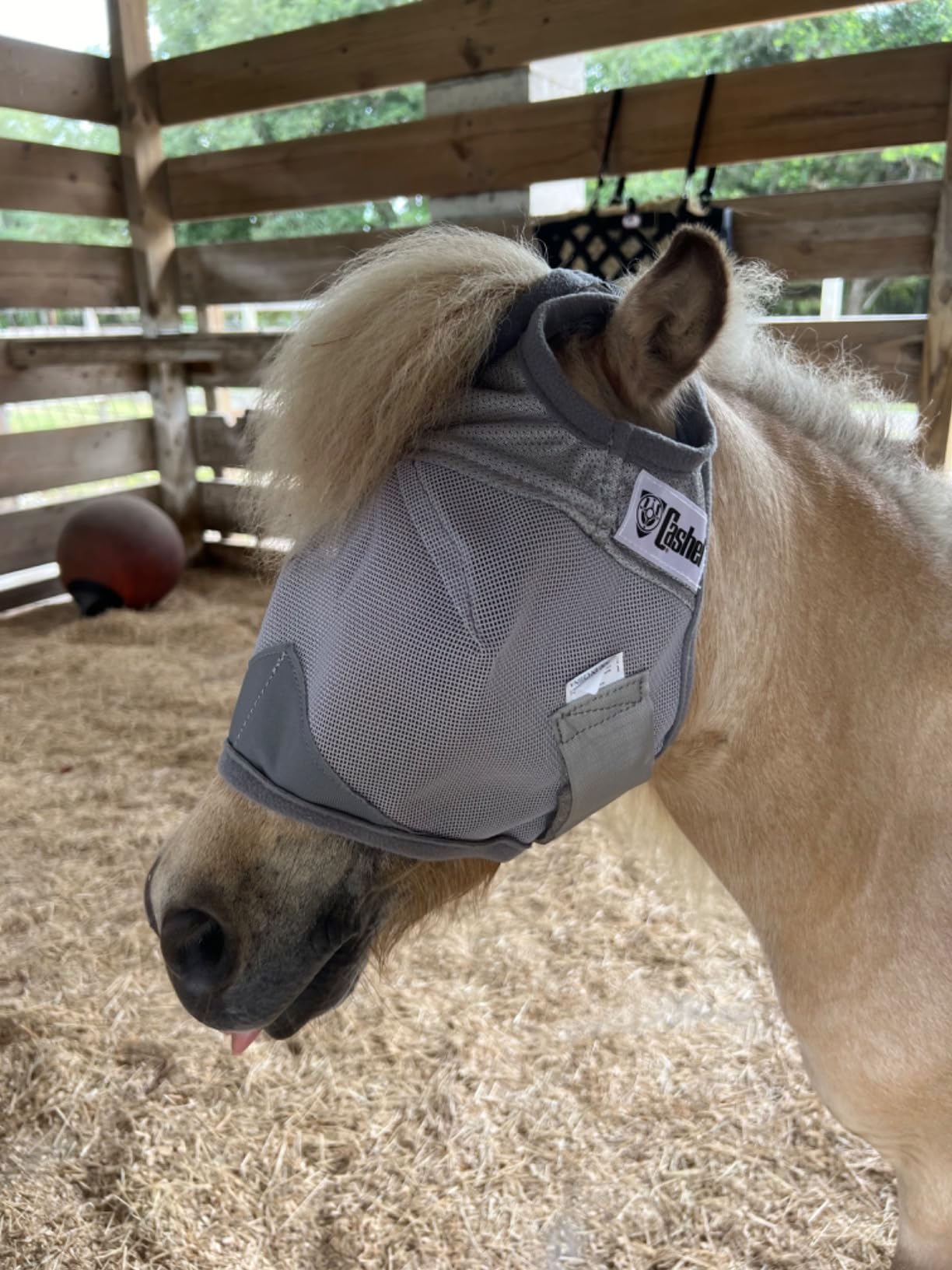 Cashel Crusader Standard Fly Mask No Ears or Nose,Gray,Horse customer photo 2