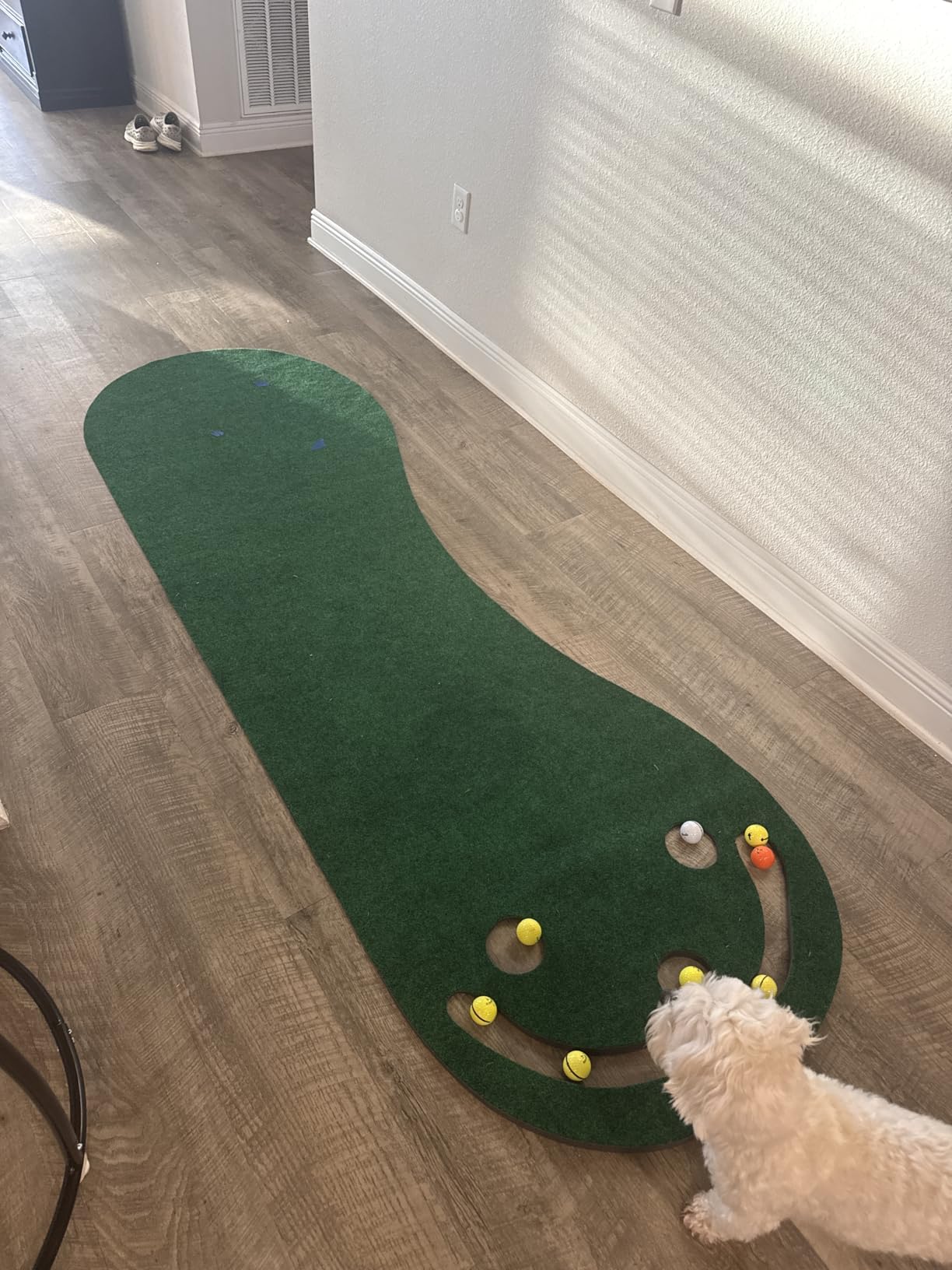 PUTT-A-BOUT Par Three Golf Putting Green (3' x 9') customer photo 2