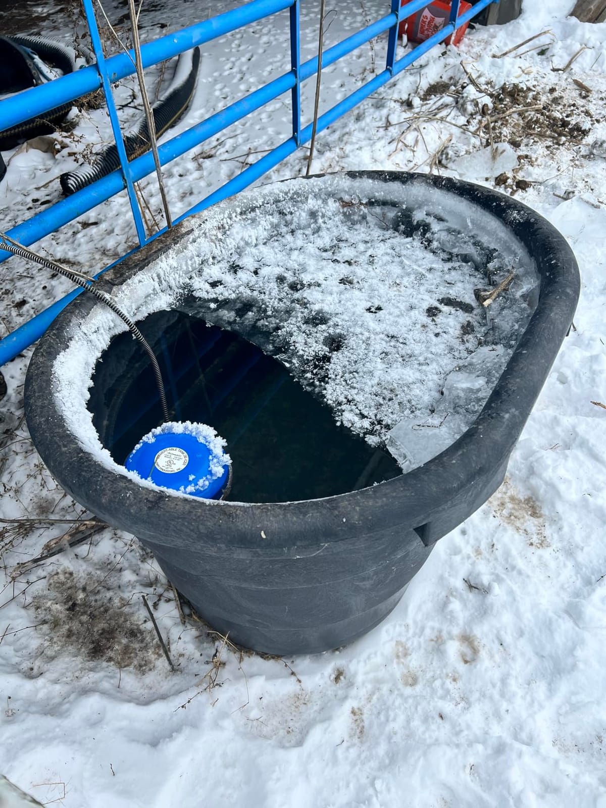 Farm Innovators H-418C Cast Aluminum 1250 Watt Convert-Able Floating and Submergible Tank De-Icer with Chew Proof Cord and Self Regulating Thermostat customer photo 2