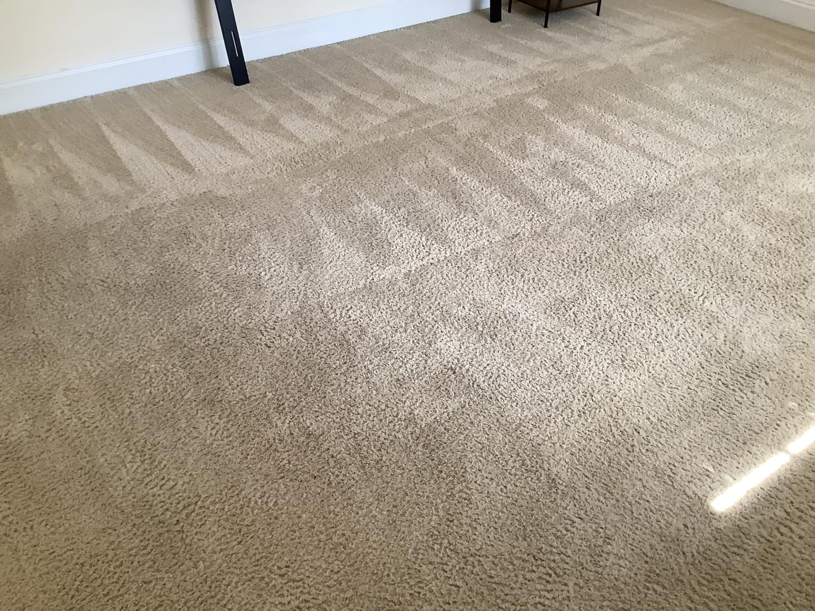 Nature's Miracle Carpet Shampoo Pet Stain & Odor Remover, 64 oz | Bio-Enzymatic Formula Removes & Deodorizes Deep-Set Pet Stains, For Water-Based Carpet Cleaners, Use on Carpet & Upholstery customer photo 2