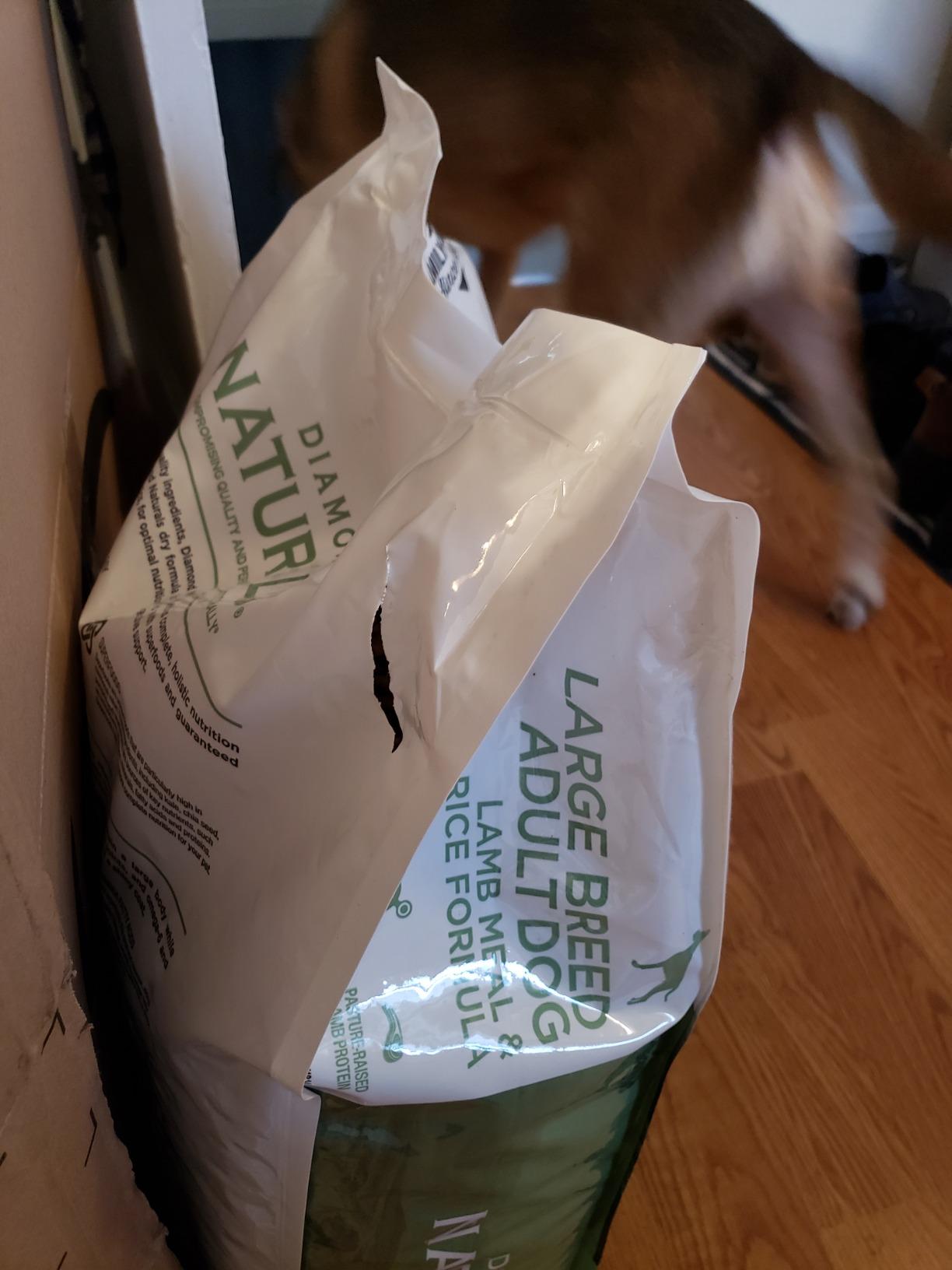 Diamond Naturals Large Breed Adult Dry Dog Food, Lamb Meal & Rice, 40lb | Pasture Raised Lamb Protein | Glucosamine & Chondroitin to Help Support Large Breed Dogs | Probiotics for Digestive Support customer photo 2