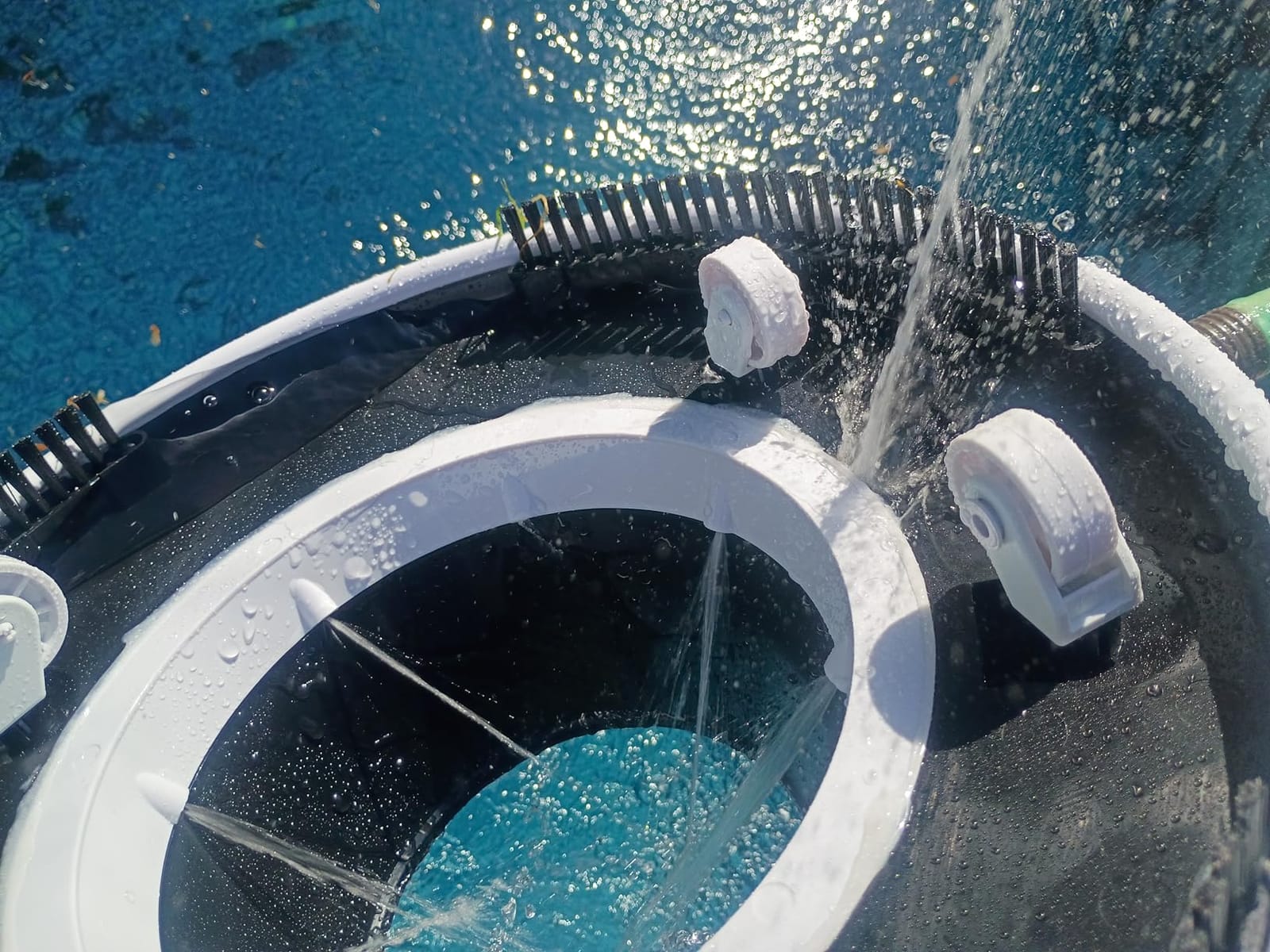 Poolmaster 28316 Swimming Pool Leaf Vacuum, Premier Collection customer photo 1