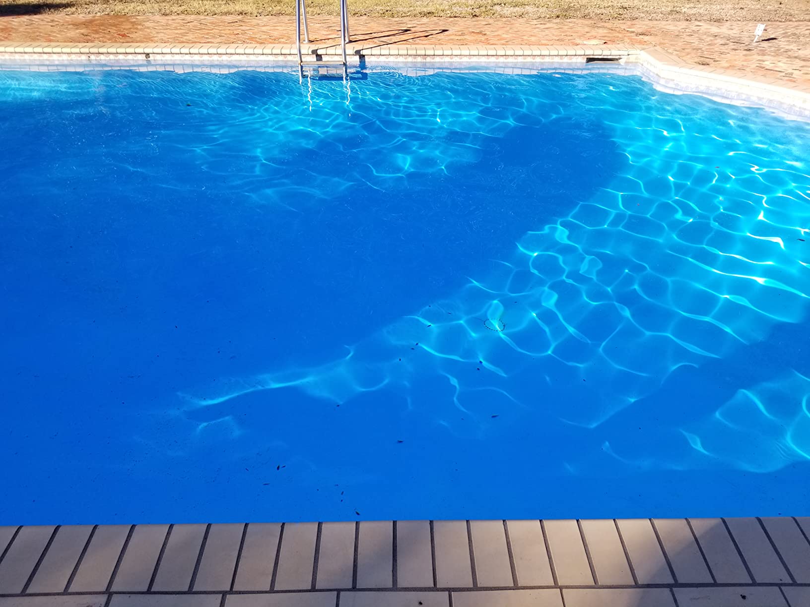 Poolmaster 28316 Swimming Pool Leaf Vacuum, Premier Collection customer photo 2