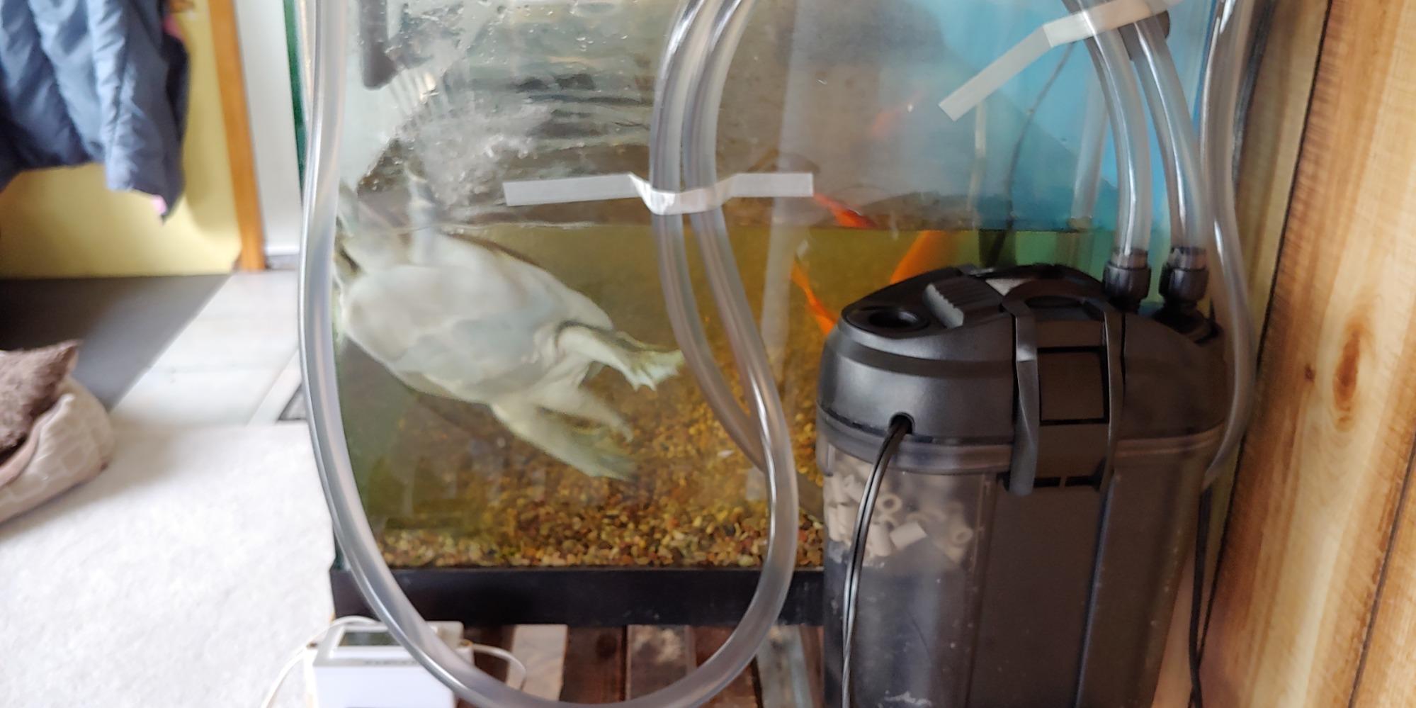 Zoo Med Turtle Clean 30 External Canister Filter for Aquatic Turtle Habitats up to 30 Gallon customer photo 1