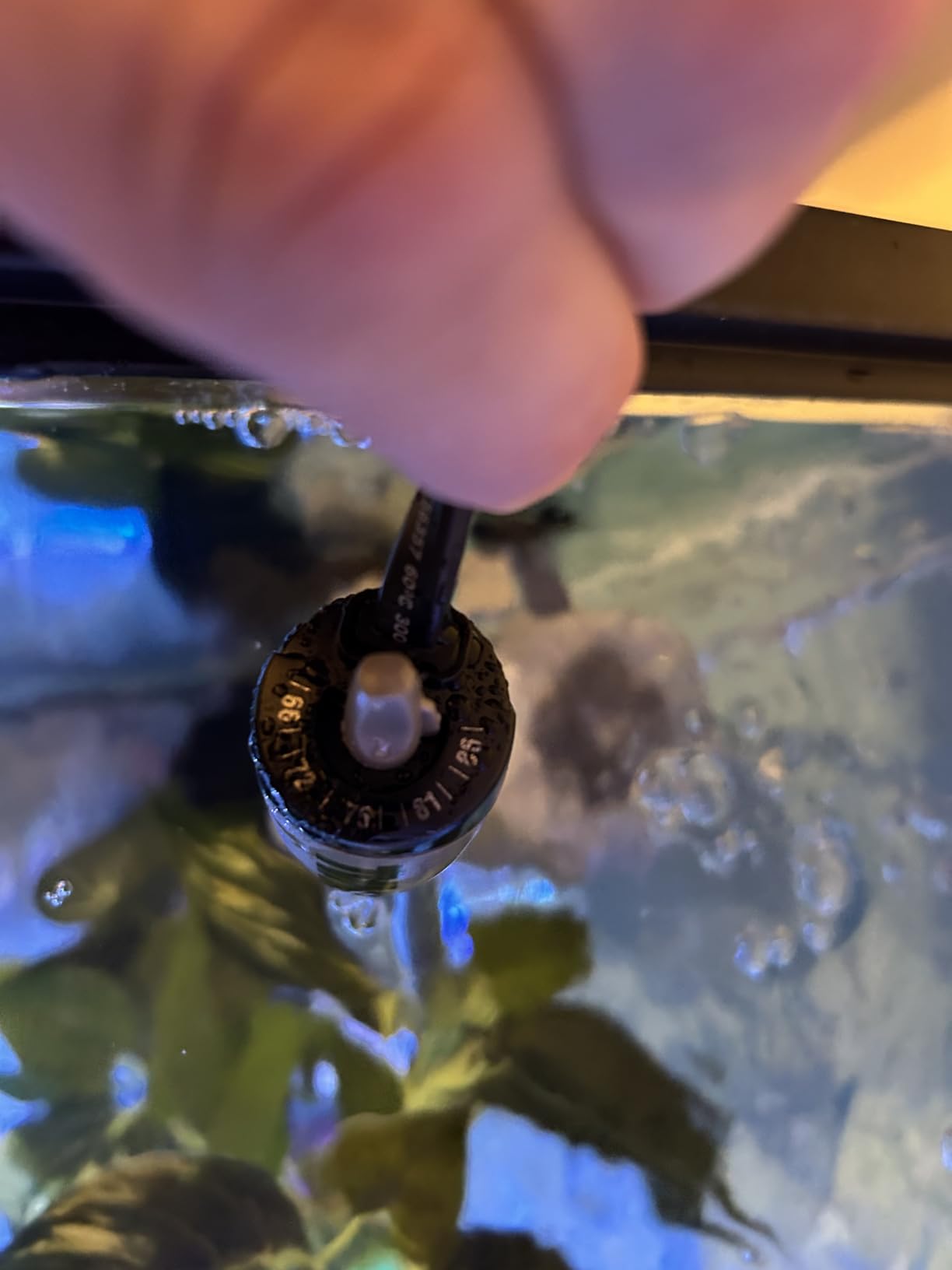 Fluval M 200-Watt Submersible Aquarium Heater - High-Performance, Compact Heating with Mirror Technology for Fresh & Saltwater Tanks customer photo 1