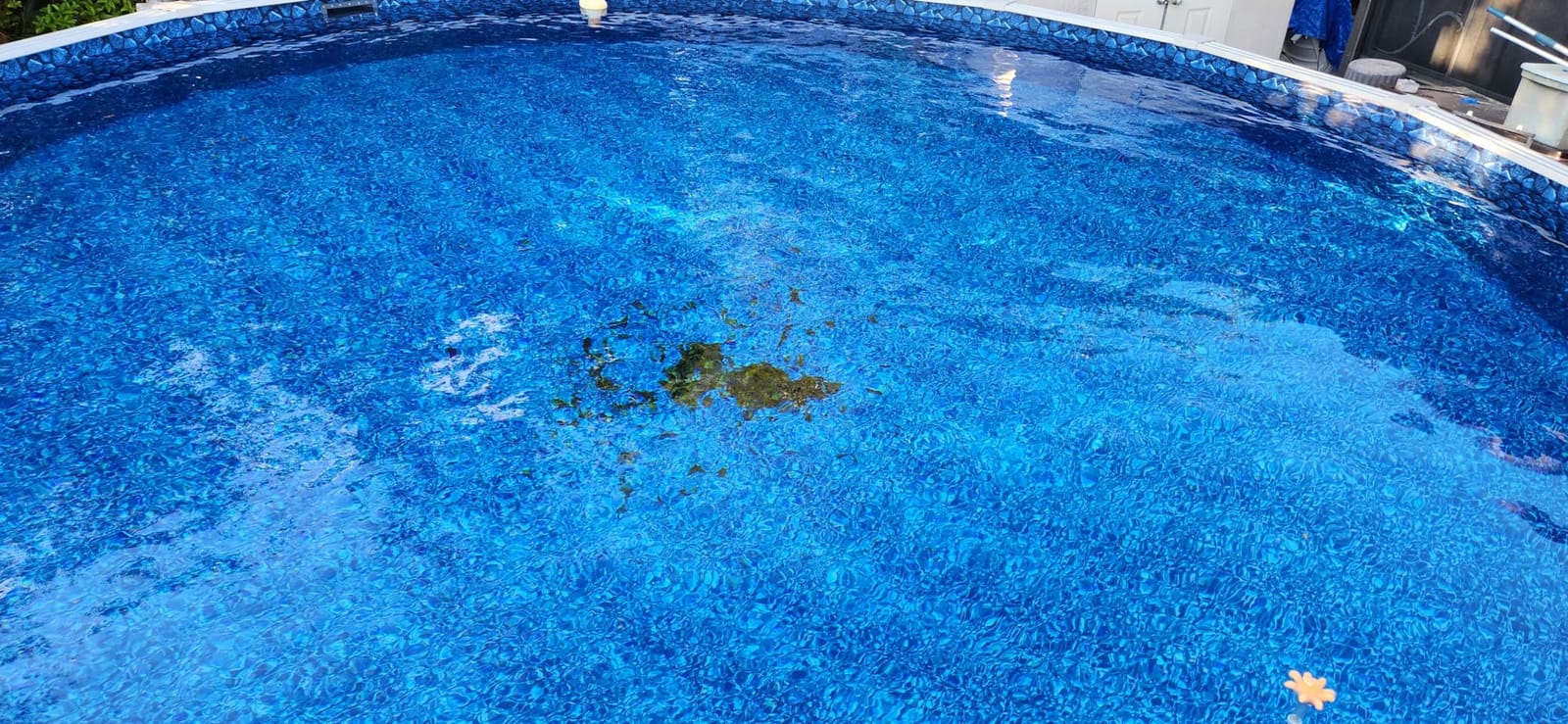 SWIMLINE | Venturi Leaf Bagger Pool Vacuum for Leaves and Debris | Hooks to a garden hose and uses venturi suction to bag whole leaves fast; spares your filter and skimmer basket customer photo 2