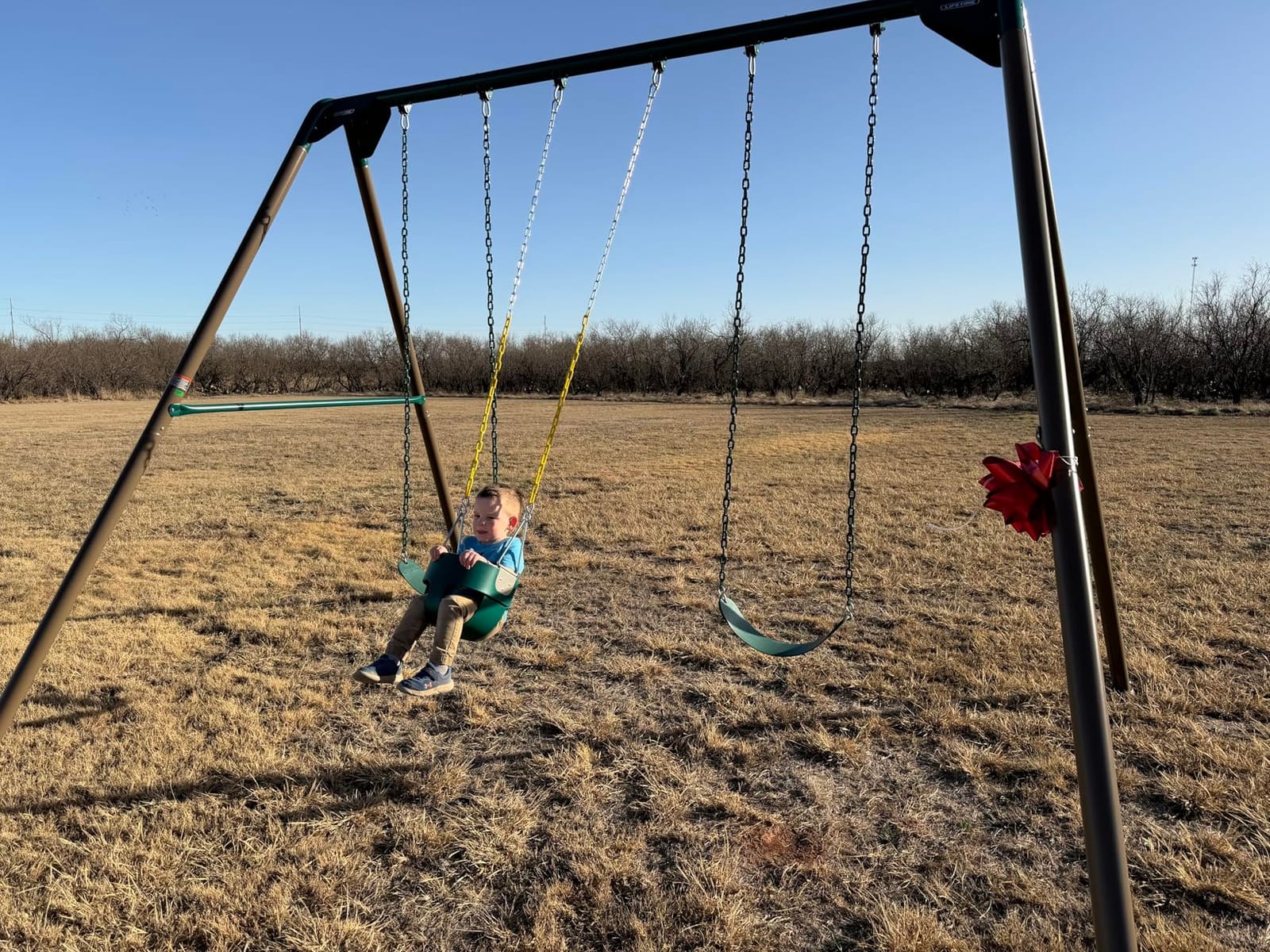 Lifetime Heavy Duty A-Frame Metal Swing Set customer photo 1