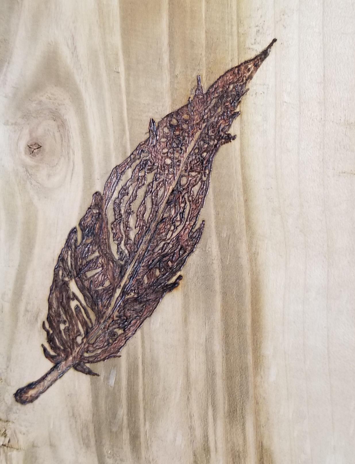 Super Pro II Woodburning KIt customer photo 2
