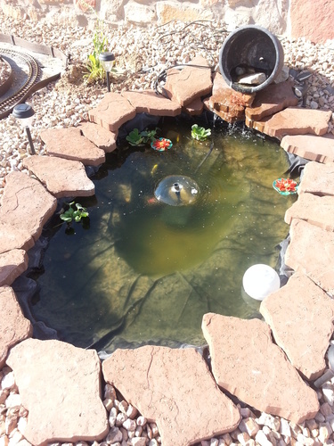 Koolatron 270 Gallon Pond Kit with Lighting, Black (KSPK-270SL) customer photo 1