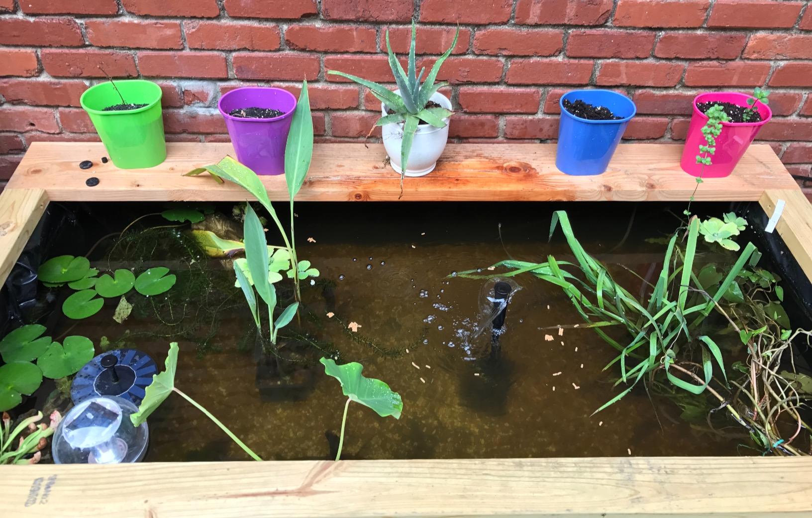 Koolatron 270 Gallon Pond Kit with Lighting, Black (KSPK-270SL) customer photo 2