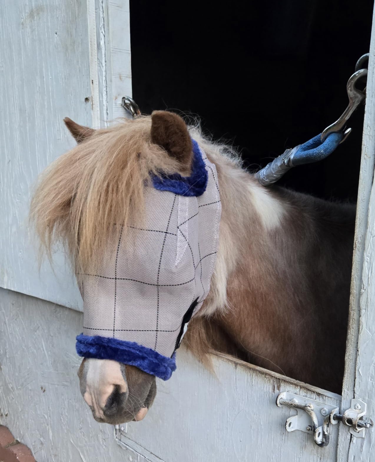 Farnam SuperMask II Horse Fly Mask Without Ears, Avg Size, Color May Vary | Extended Coverage Equine Fly Protection, Protects Eyes from Insects, Debris & UV, Adjustable Throat Latch, Plush Fleece Trim customer photo 2