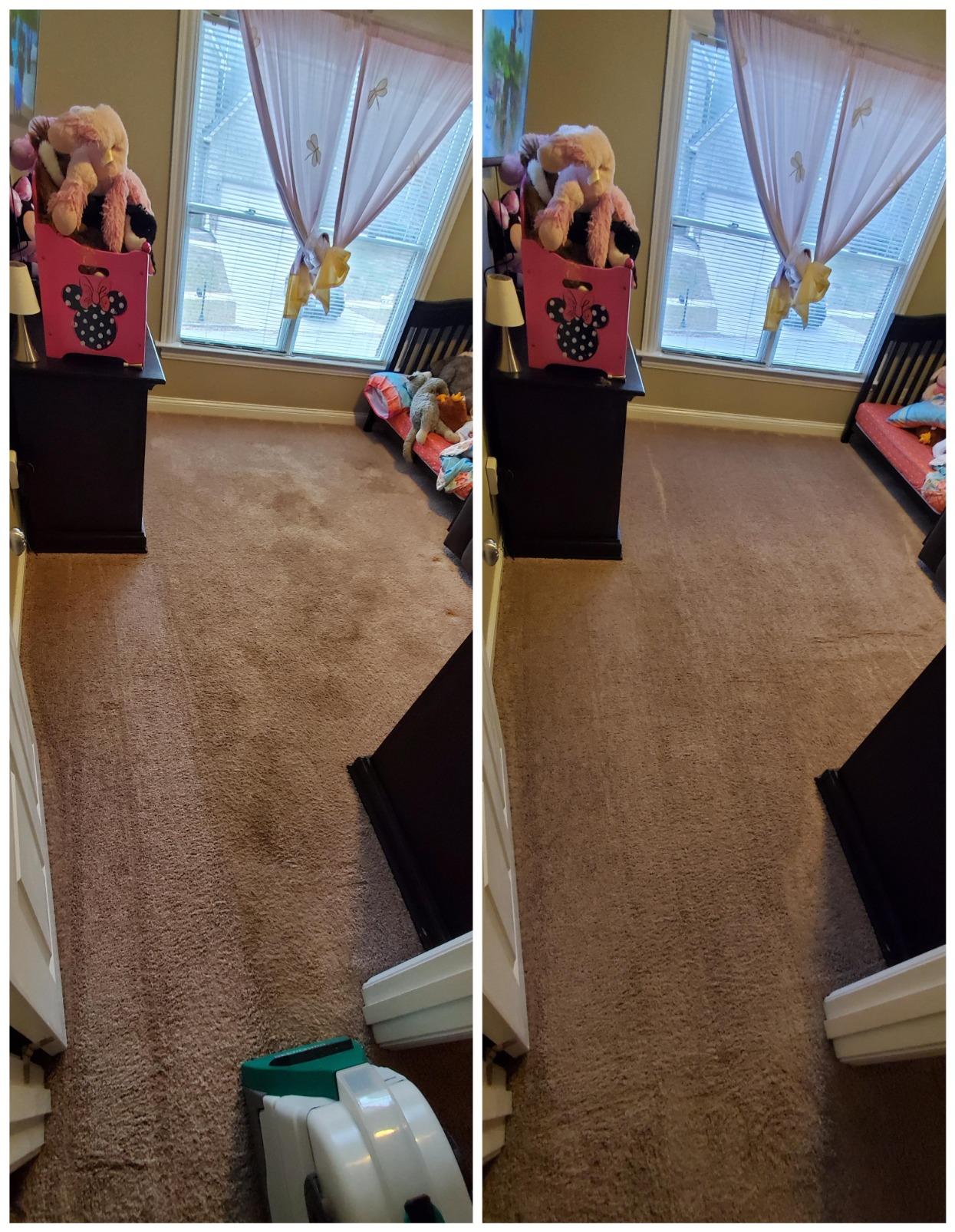 BISSELL Big Green Professional Carpet Cleaner Machine, XL DirtLifter PowerBrush, Heavy Duty Deep Cleaning customer photo 1