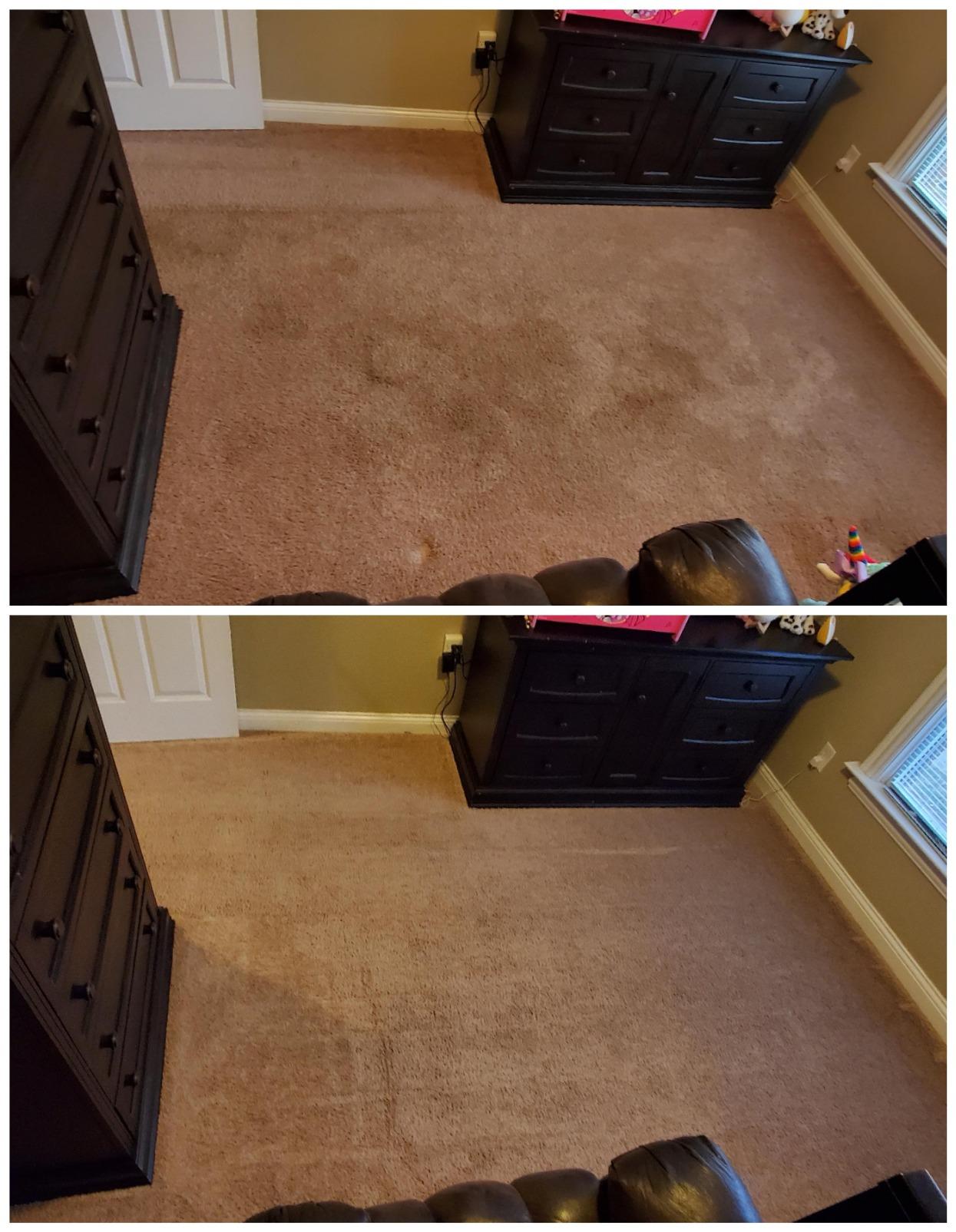 BISSELL Big Green Professional Carpet Cleaner Machine, XL DirtLifter PowerBrush, Heavy Duty Deep Cleaning customer photo 2