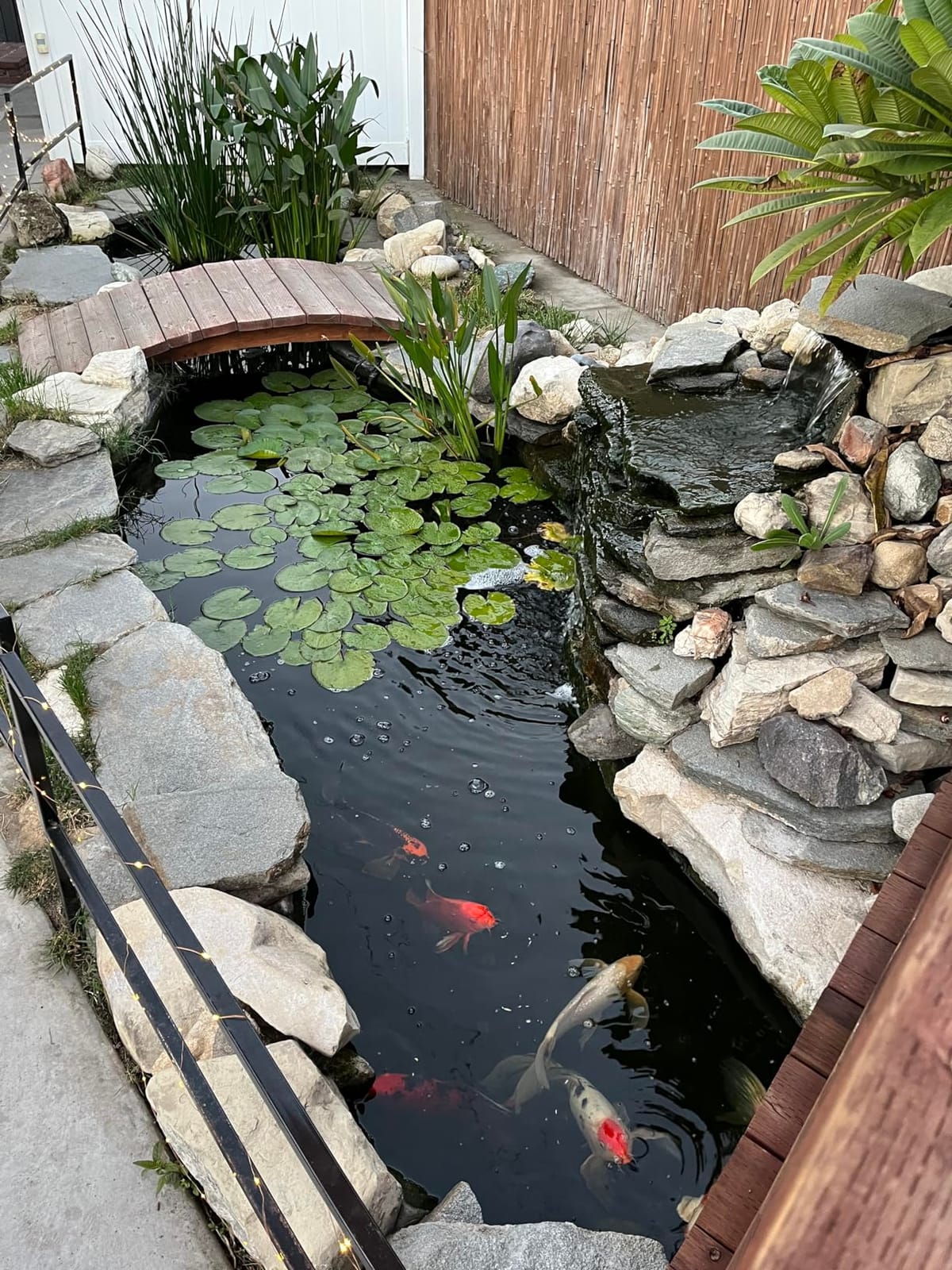 TotalPond Complete Pond Filter with UV Clarifier Black 15.16 x 9.06 x 13.11 in. customer photo 2