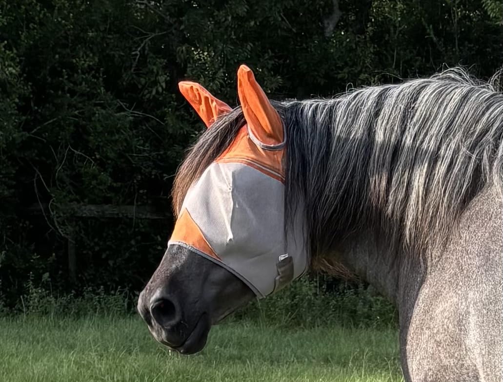 Cashel Crusader Fly Mask, Long Nose with Ears customer photo 1
