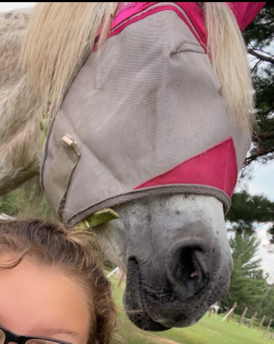 Cashel Crusader Fly Mask, Long Nose with Ears customer photo 2