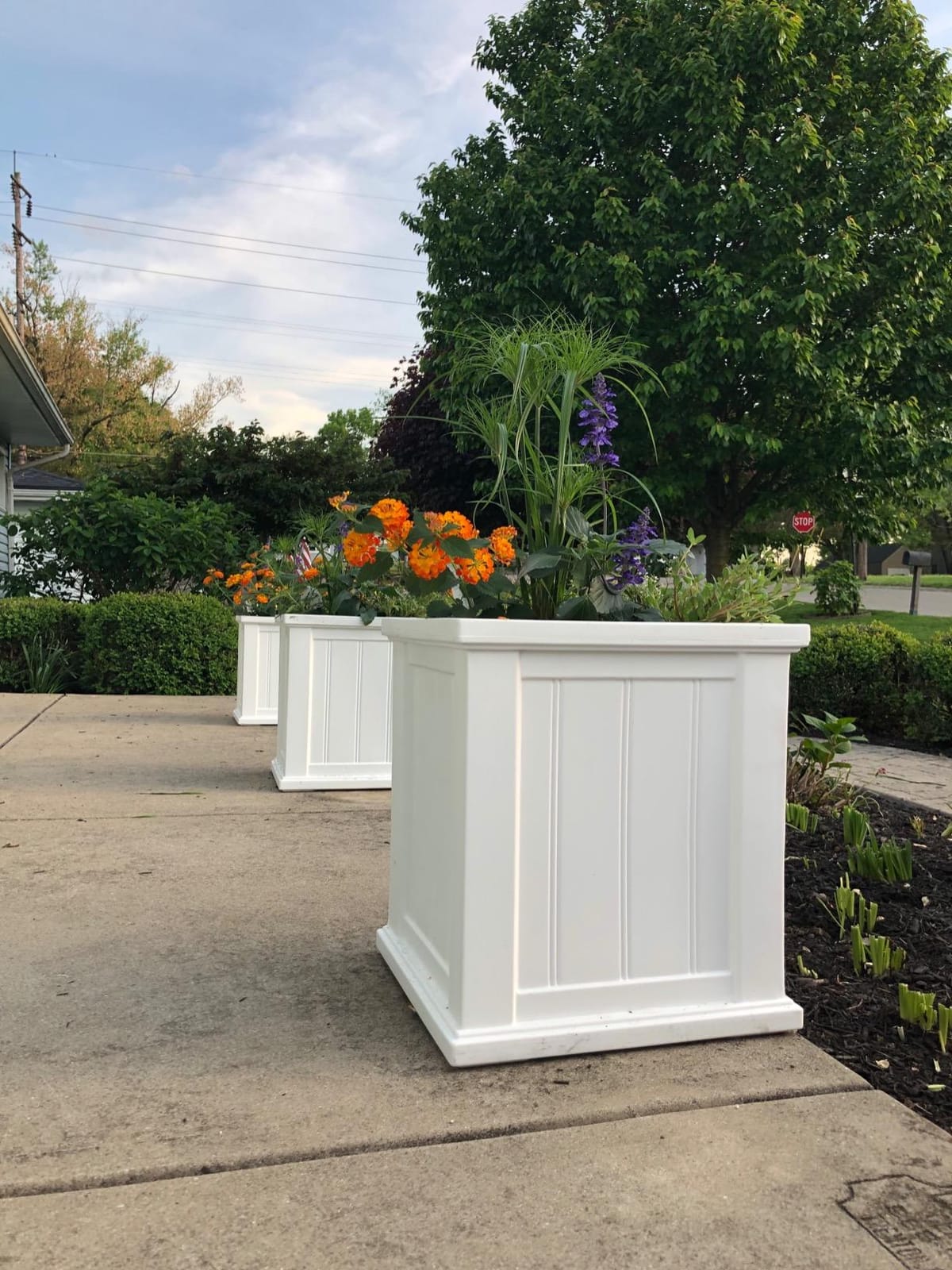 Mayne Cape Cod 14in Self-Watering Square Planter, Black customer photo 1