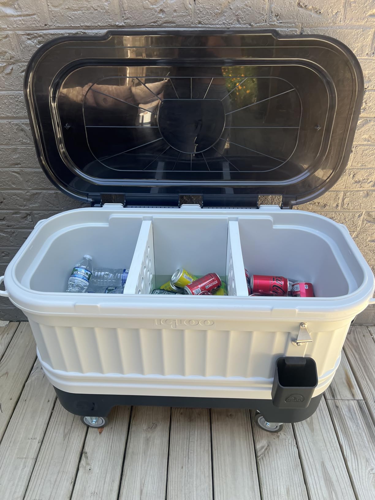Igloo Hard Cooler | Polar & Party Bar Series | Insulated Ice Chests customer photo 1